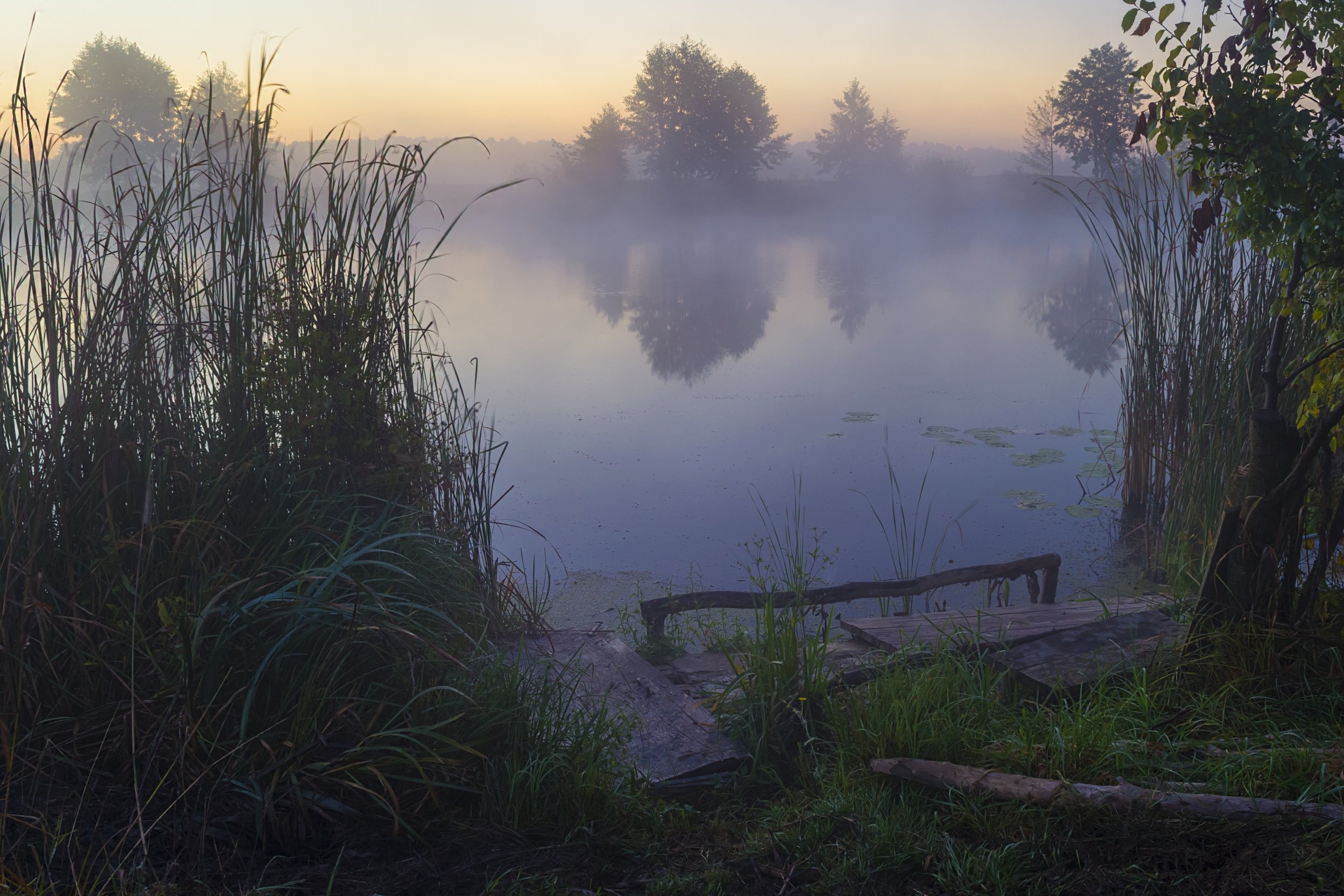 пейзаж,природа,туман,дерево,река,Сергей Корнев,трава,утро, Сергей Корнев