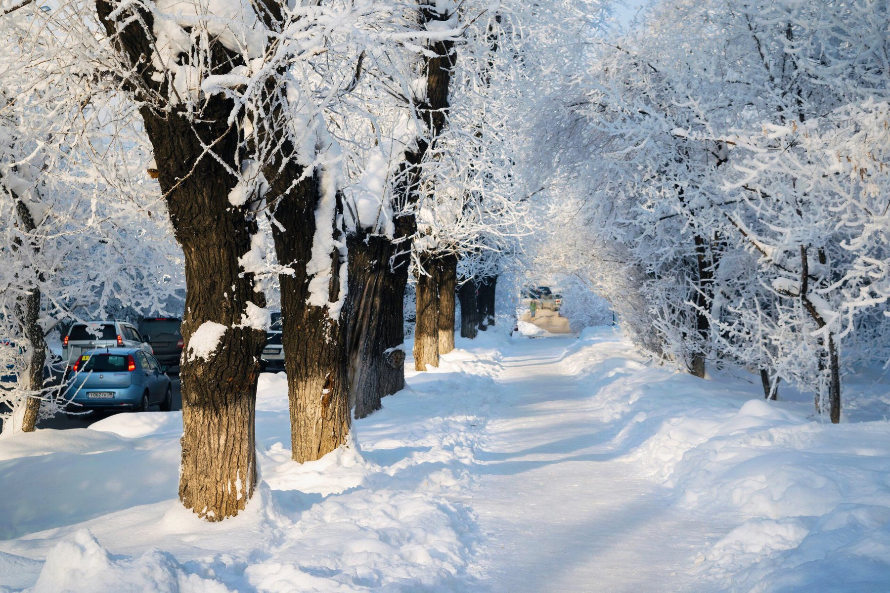 снег, деревья, улица, город, Екатерина Назарова