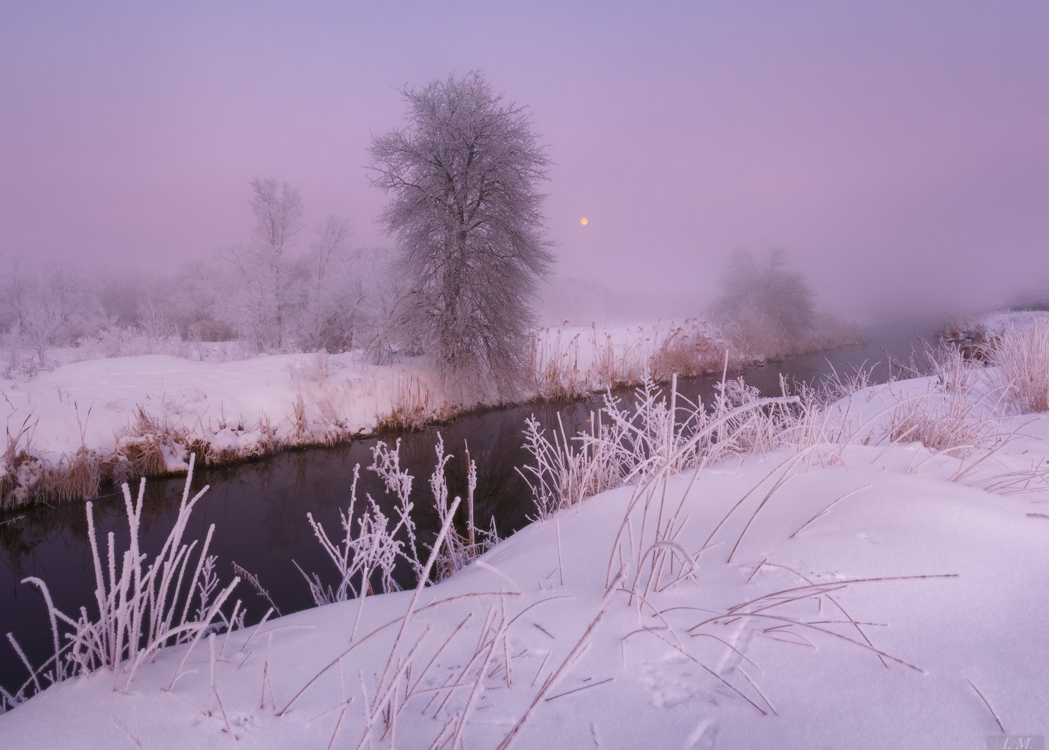 утро, мороз, туман, иней, речка, луна, пейзаж, рассвет, снег, зима, morning, dawn, winter, landscape, frozen, fog, small, river, frost, snow, moon, foggy, trees, misty, mood, Ivan Maljarenko 