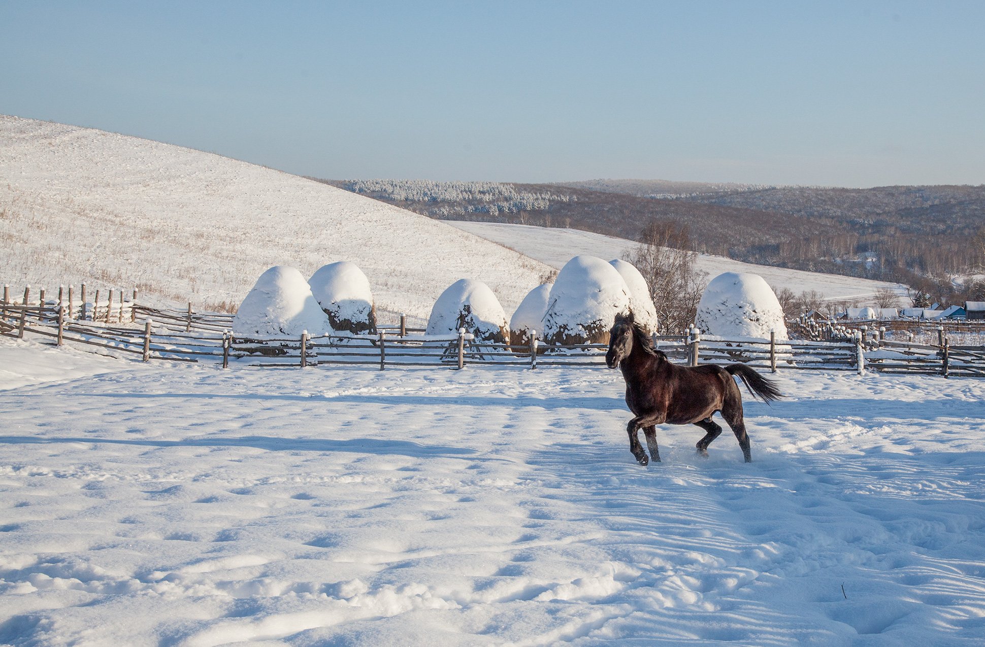 пейзаж,зима,снег,горы,деревня, лошадь, Тамара Андреева