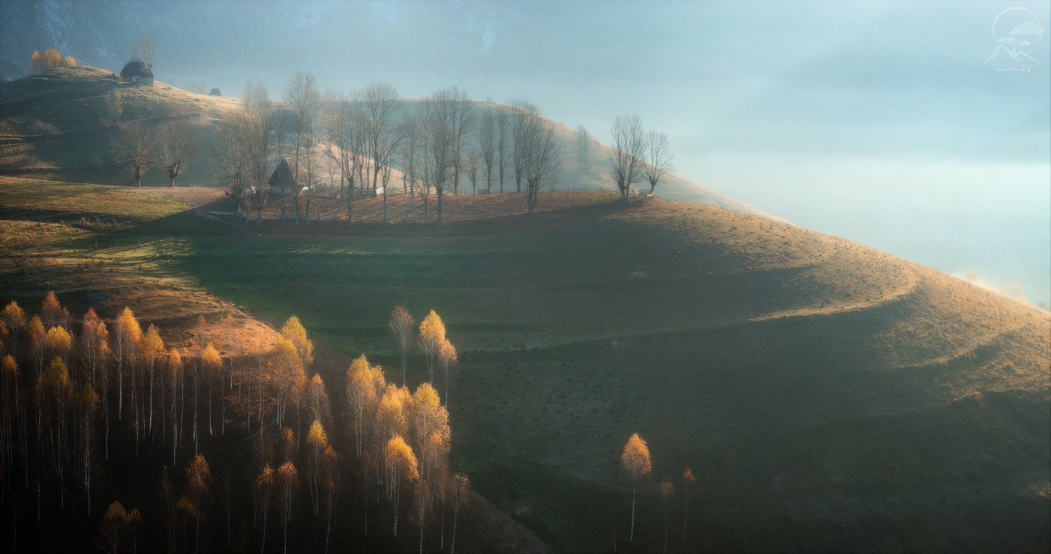 пейзаж, природа, дерево, румыния, осень, холмы, Анатолий Гордиенко