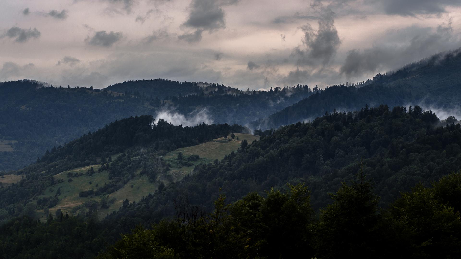 fog, landscape, landscapephotography, mountain, mountainlandscape, mountains, mountainscape, scape, ukraine, foggylandscape, пейзаж, горы, облака, туман, синевир, украина, Полина Хрол