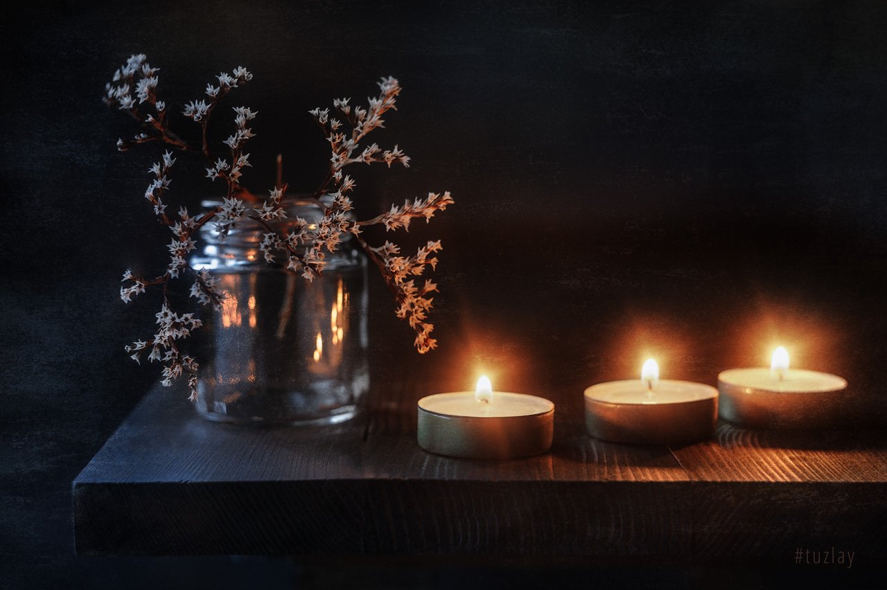 цветы звёздочки, углостебельник, свечи, софт фокус, гелиос, Владимир Тузлай