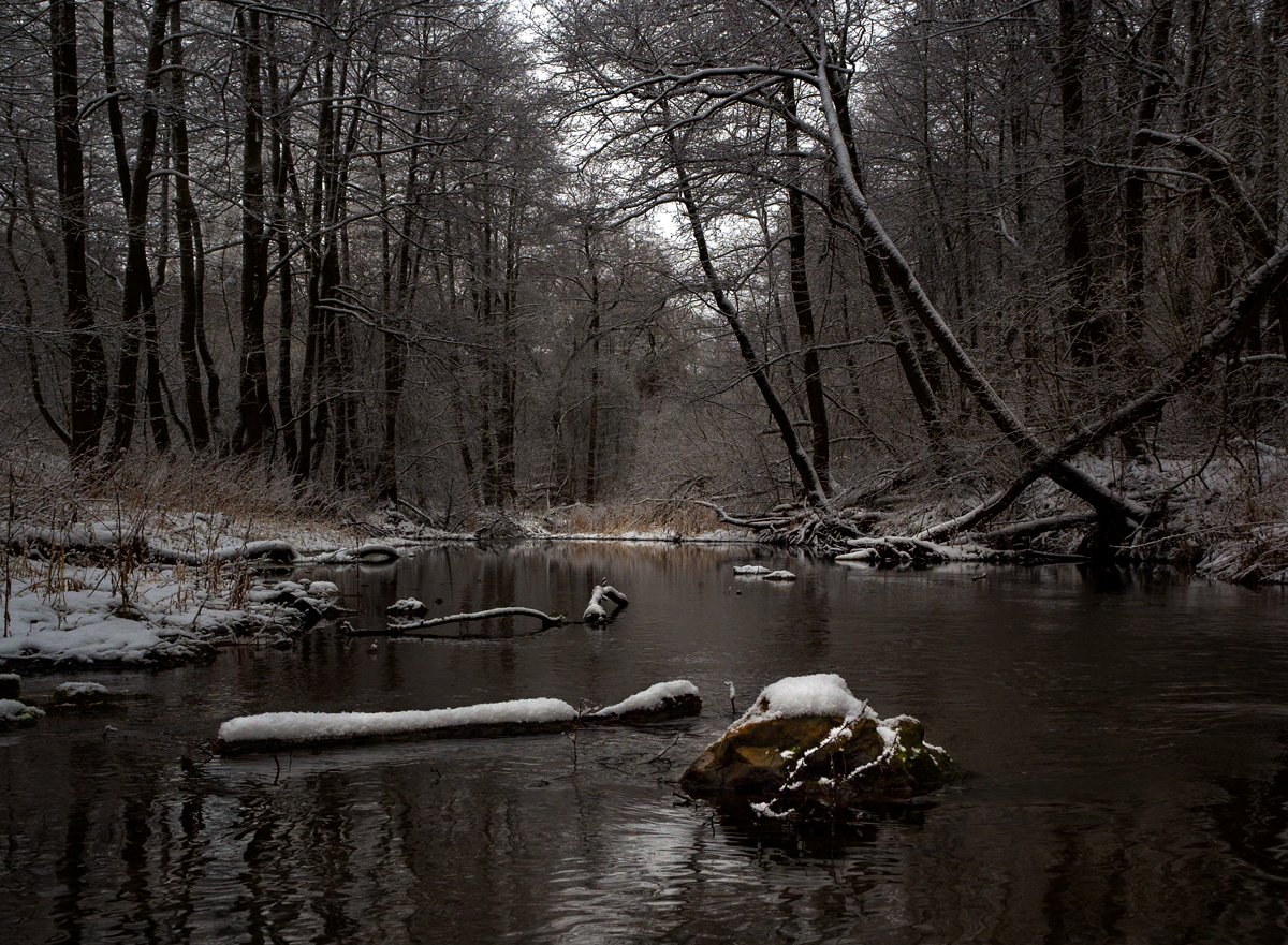 лес, река, зима, природа, Баранов Олег