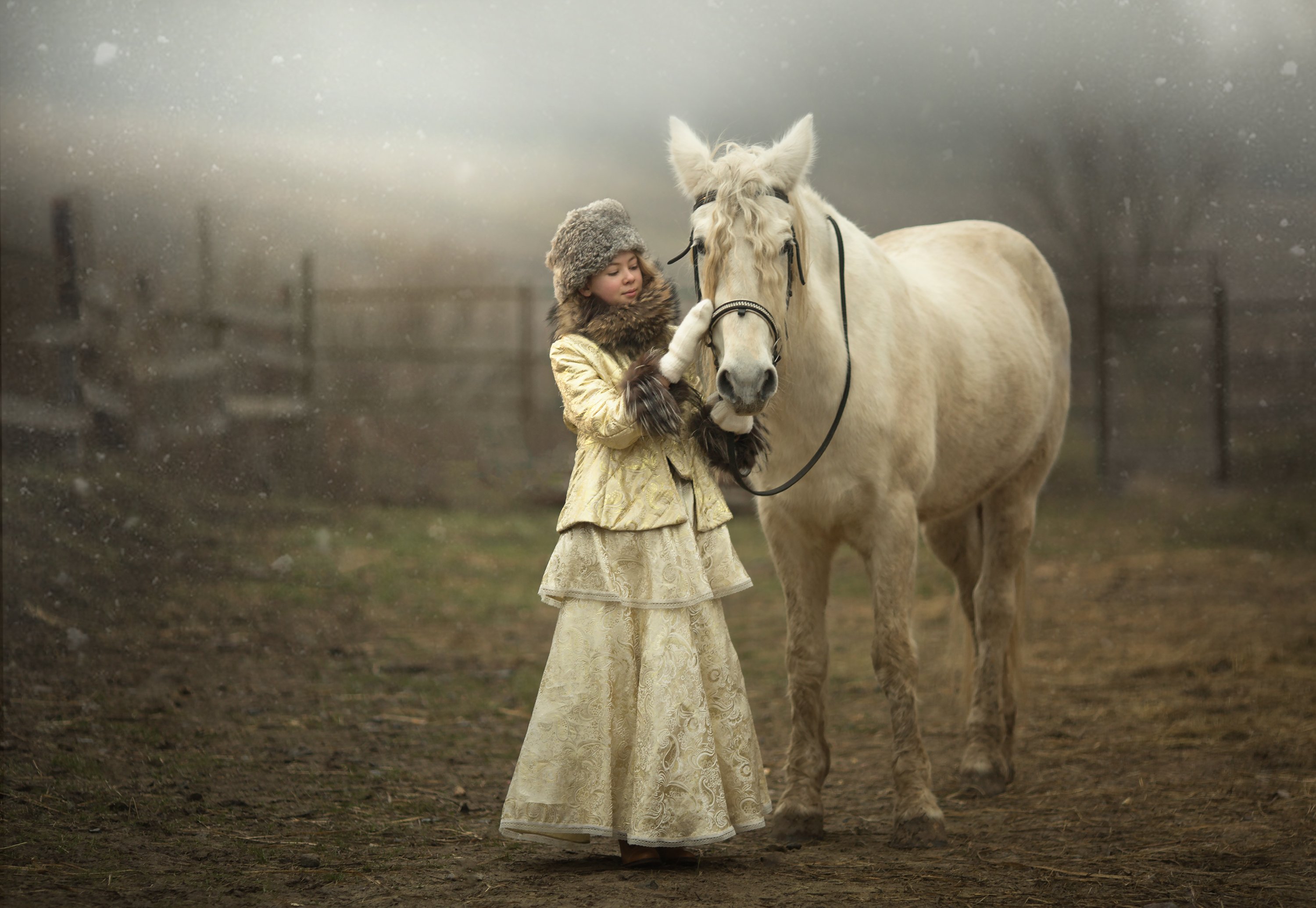Дети на белом коне картинки фото красивые