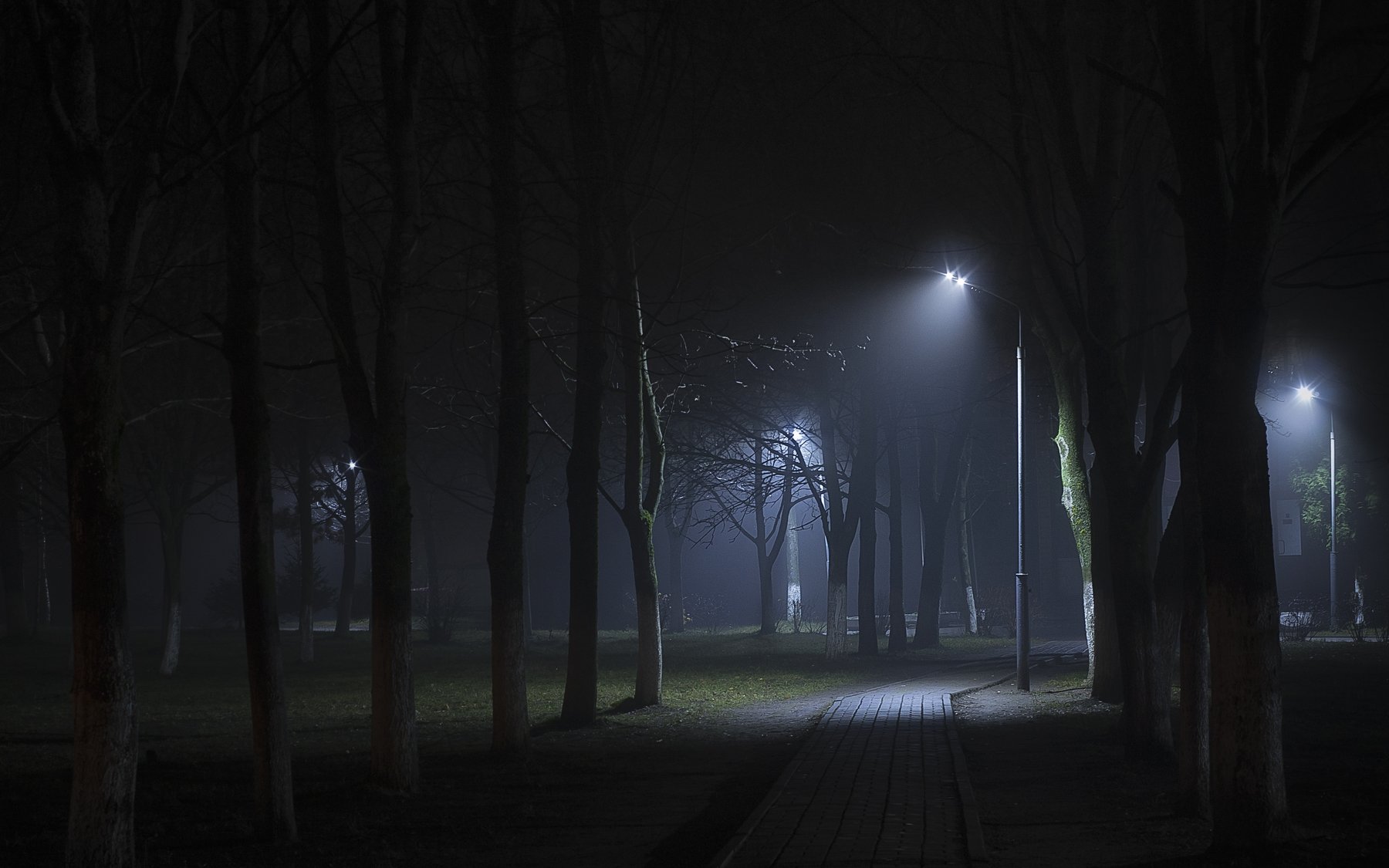 fog city citylife citylights citynight cityscape, cityscapes, foggyforest, forest, light, lightning, lights, nature, naturelandscape, naturephotography, foggylandscape, минск,беларусь, пейзаж,городской пейзаж, туман, Полина Хрол