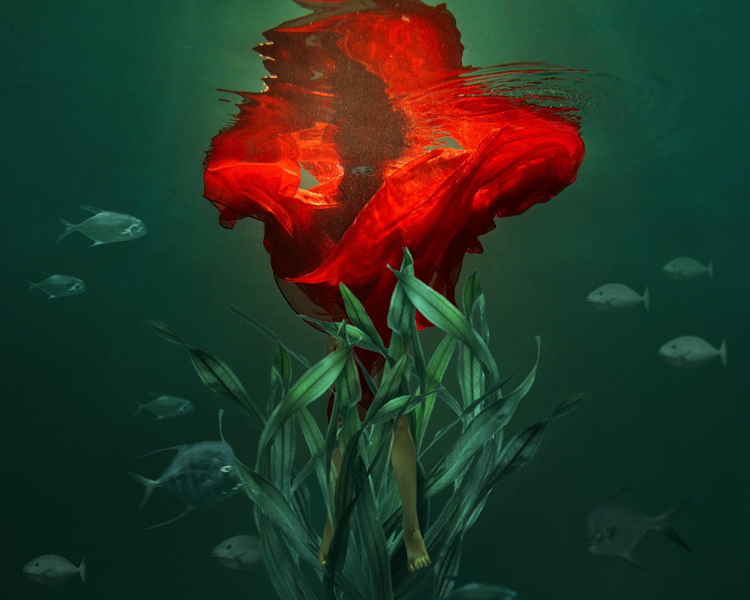 fine art, portrait, under water, green, red, flower, портрет, файн арт, красный цветок, вода, под водой, Марина Семёхина