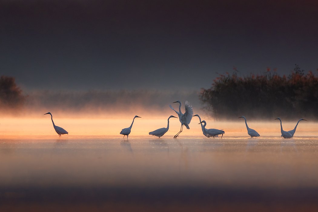 , Marcin Sobas