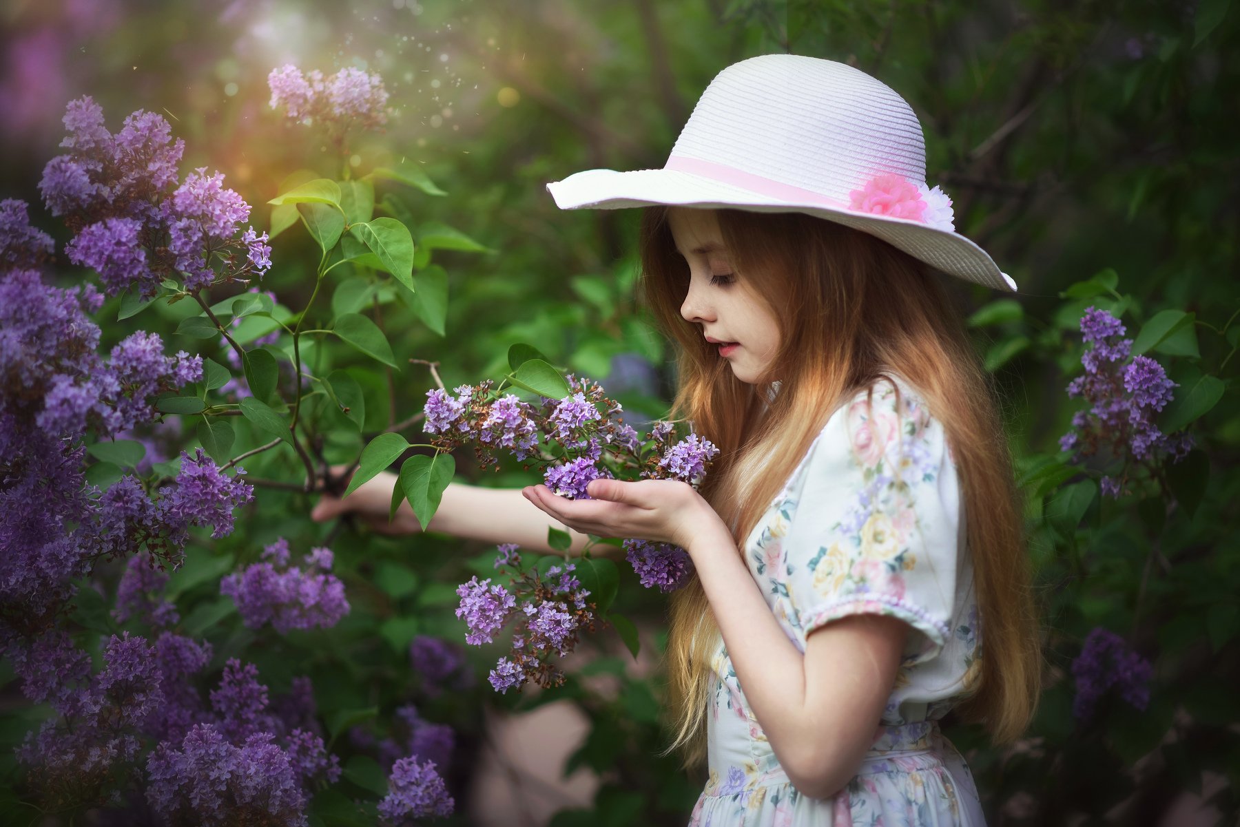 детская фотография портрет лето цветение сирень, Виктория Мейо