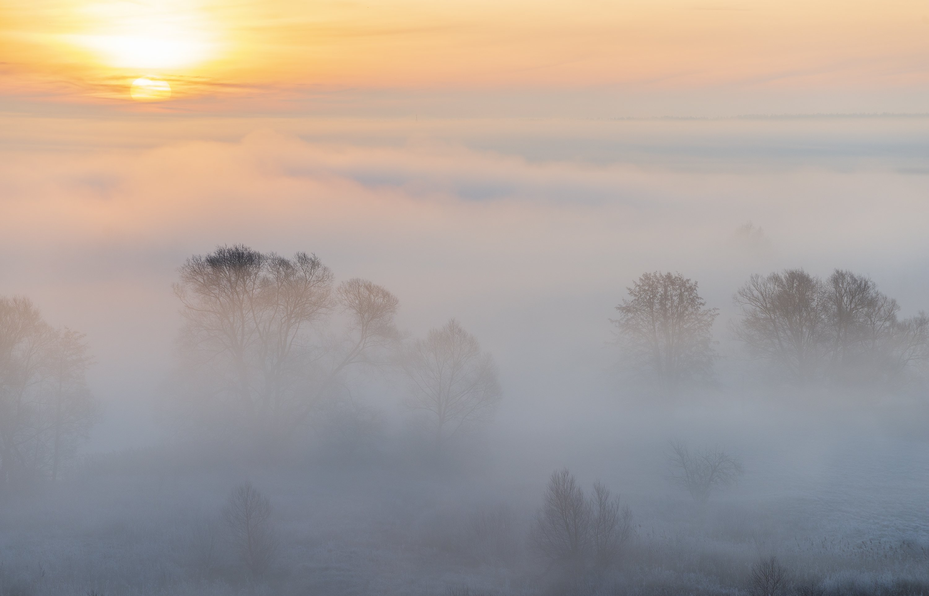 Двойной туман. Февраль туман. The Fog 2.