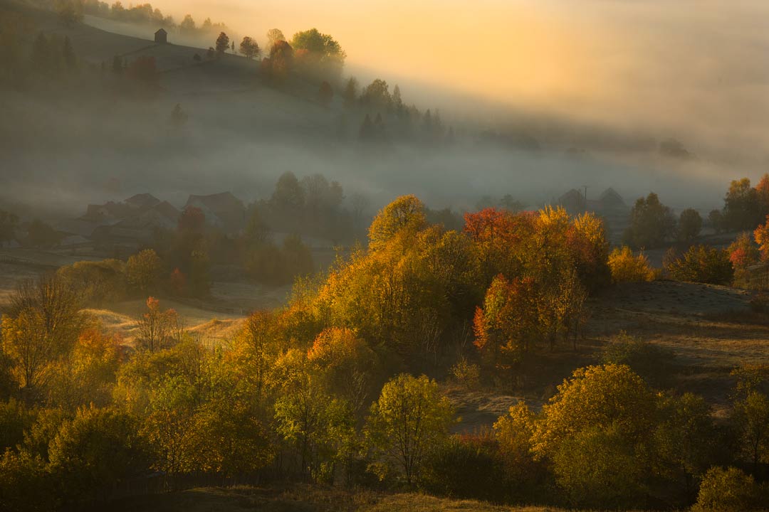 landscape, autumn, Ionel Onofras