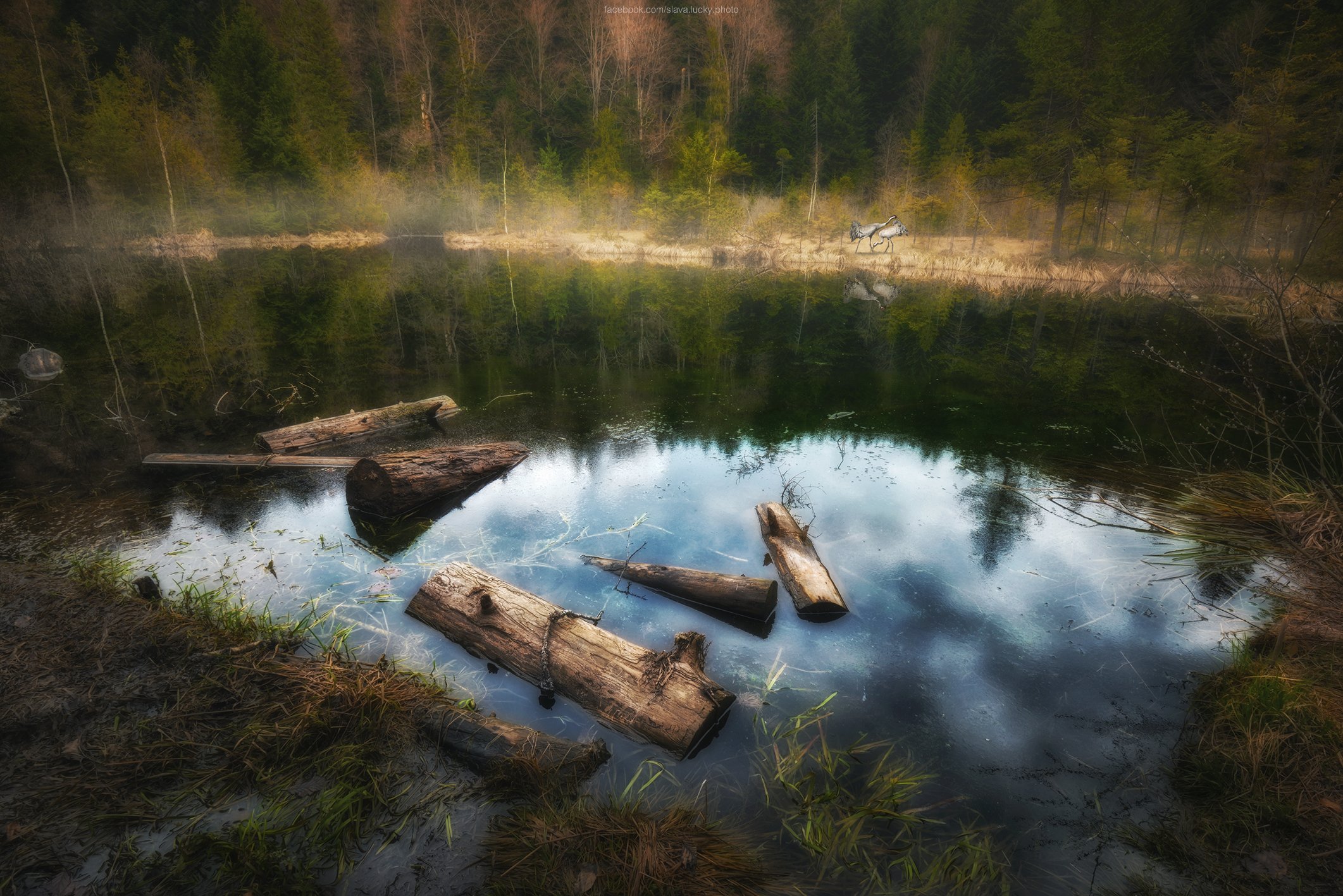 карпаты, озеро, природа, лес, озеро, горное озеро, отражение, спокойствие, тишина, Slava Lucky