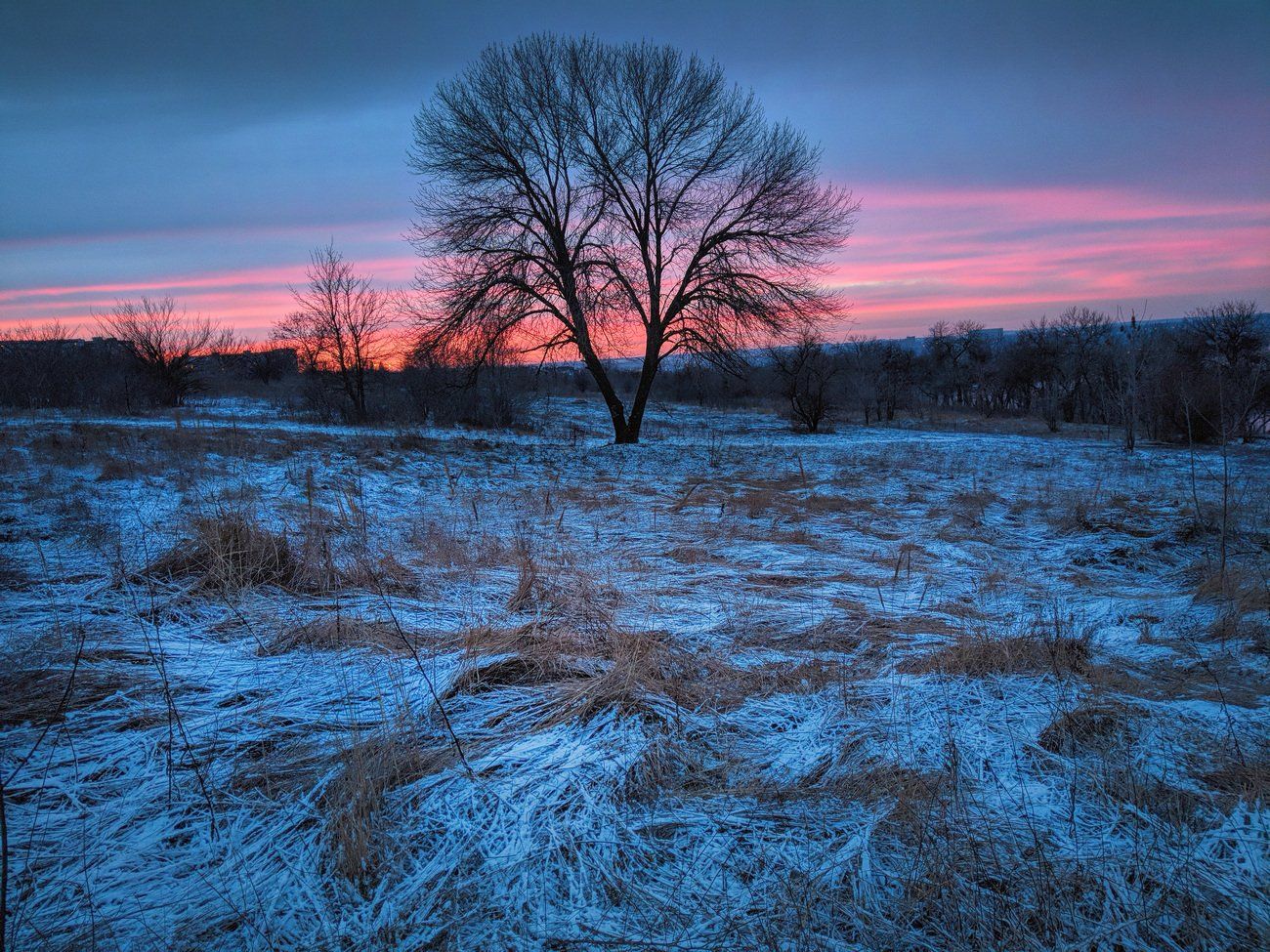 дерево,закат,запорожье,зима,пейзаж,февраль,краски заката, Сергей Богачёв