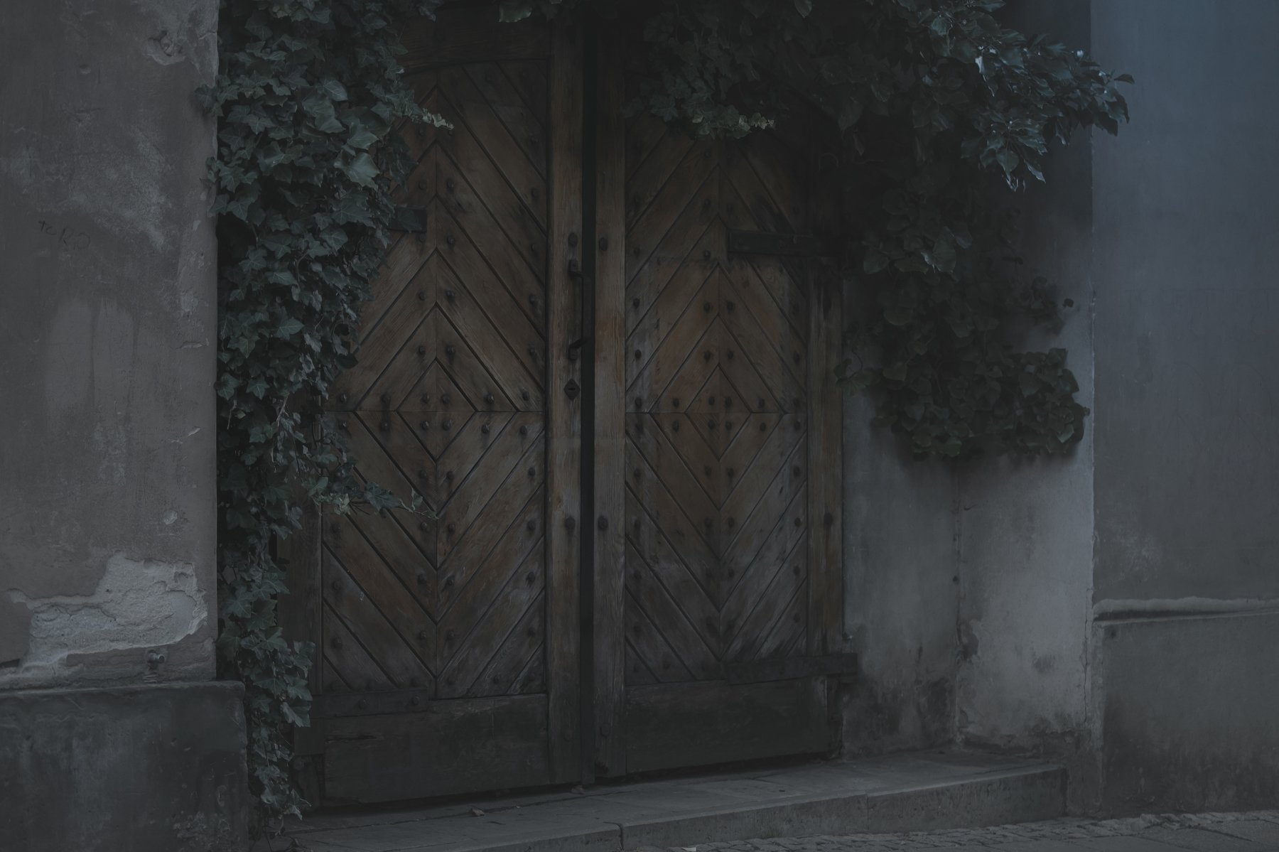 прага, дверь, плющ, Erika Tsogoeva