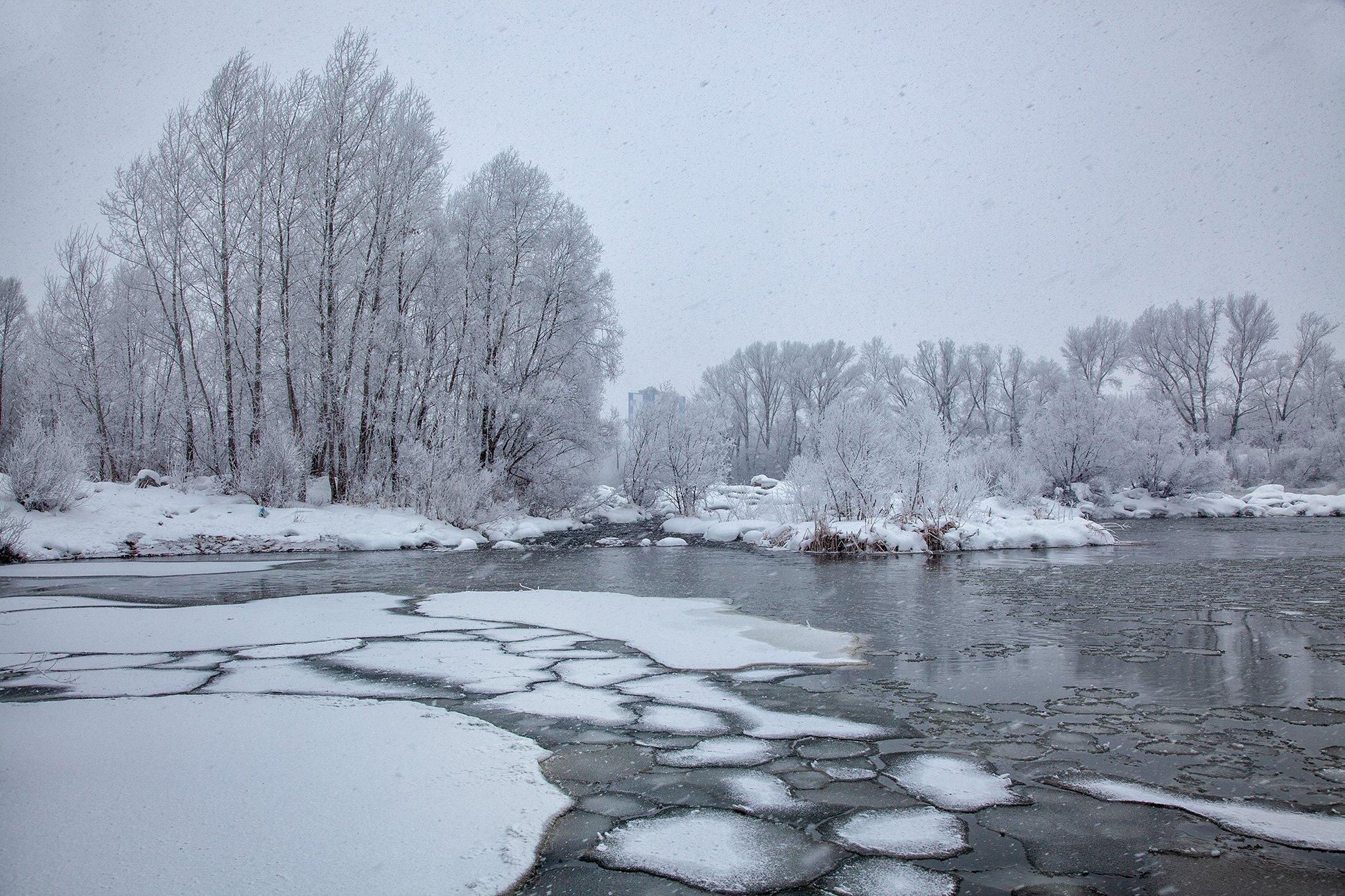 пейзаж,река,иней,снег,деревья,льдины, Тамара Андреева