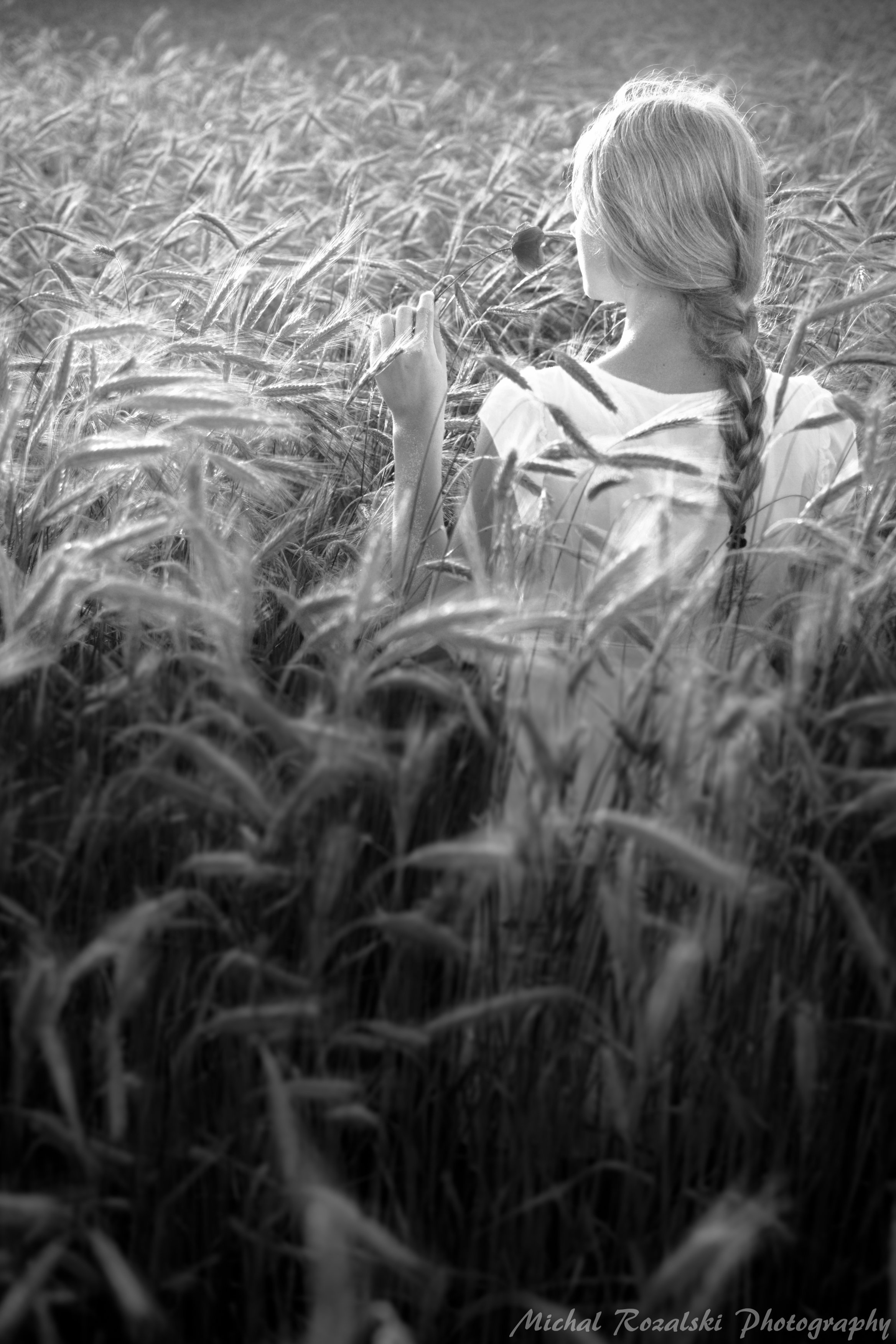 blackandwhite, ,girl, ,fields, ,crops, ,harvest, ,artistic, ,portrait, ,, Michal Rozalski