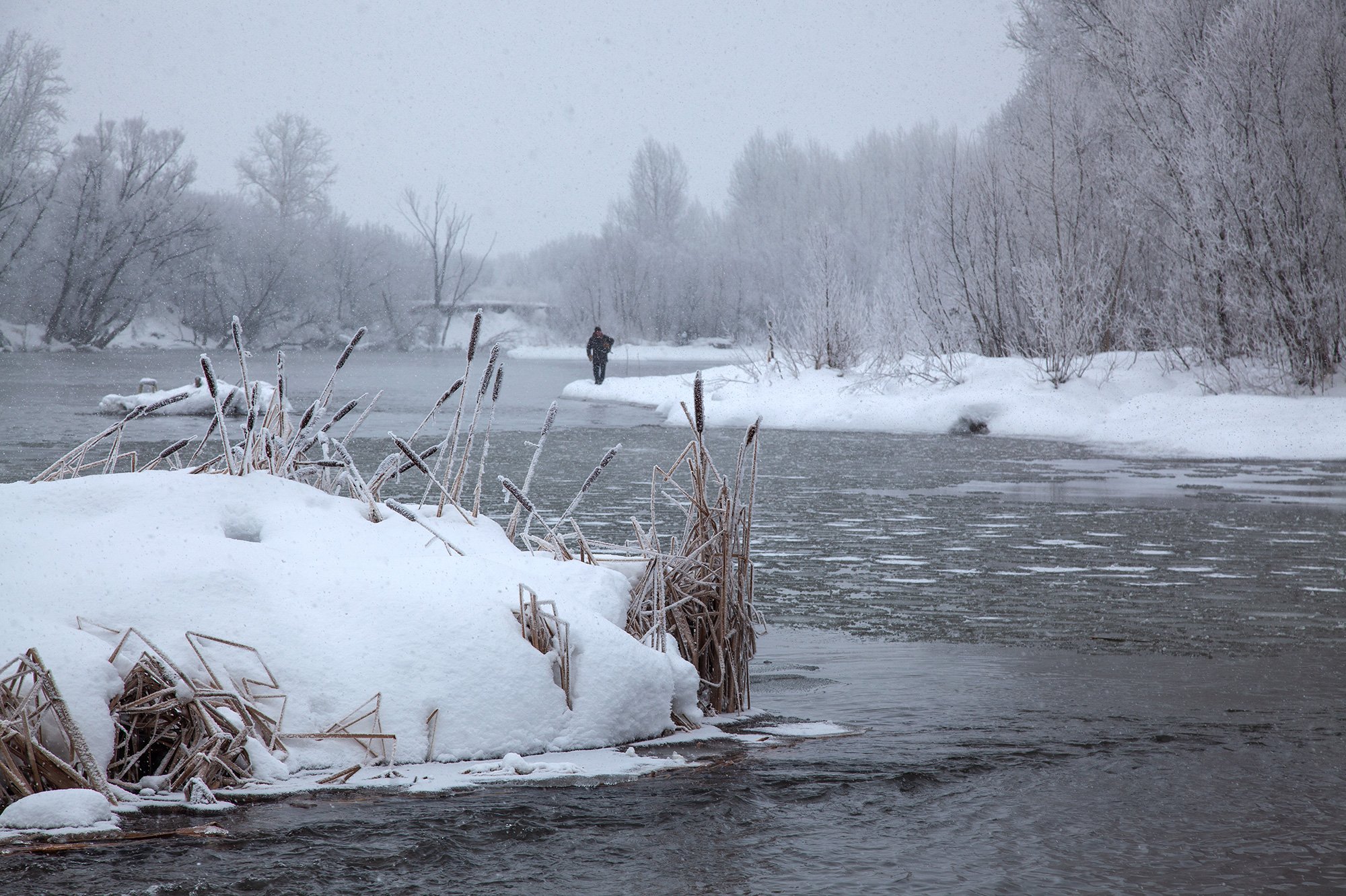 пейзаж,река,зимаснег,снегопад,рогоз, Тамара Андреева