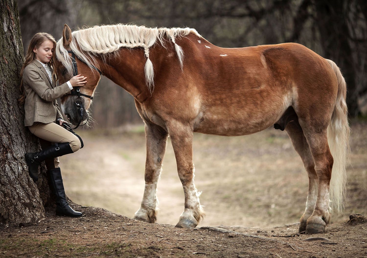 девочка,красотка, встреча,лошадь,сюжет, прогулка, girl, beautiful, horse, nature, Юлия Стукалова