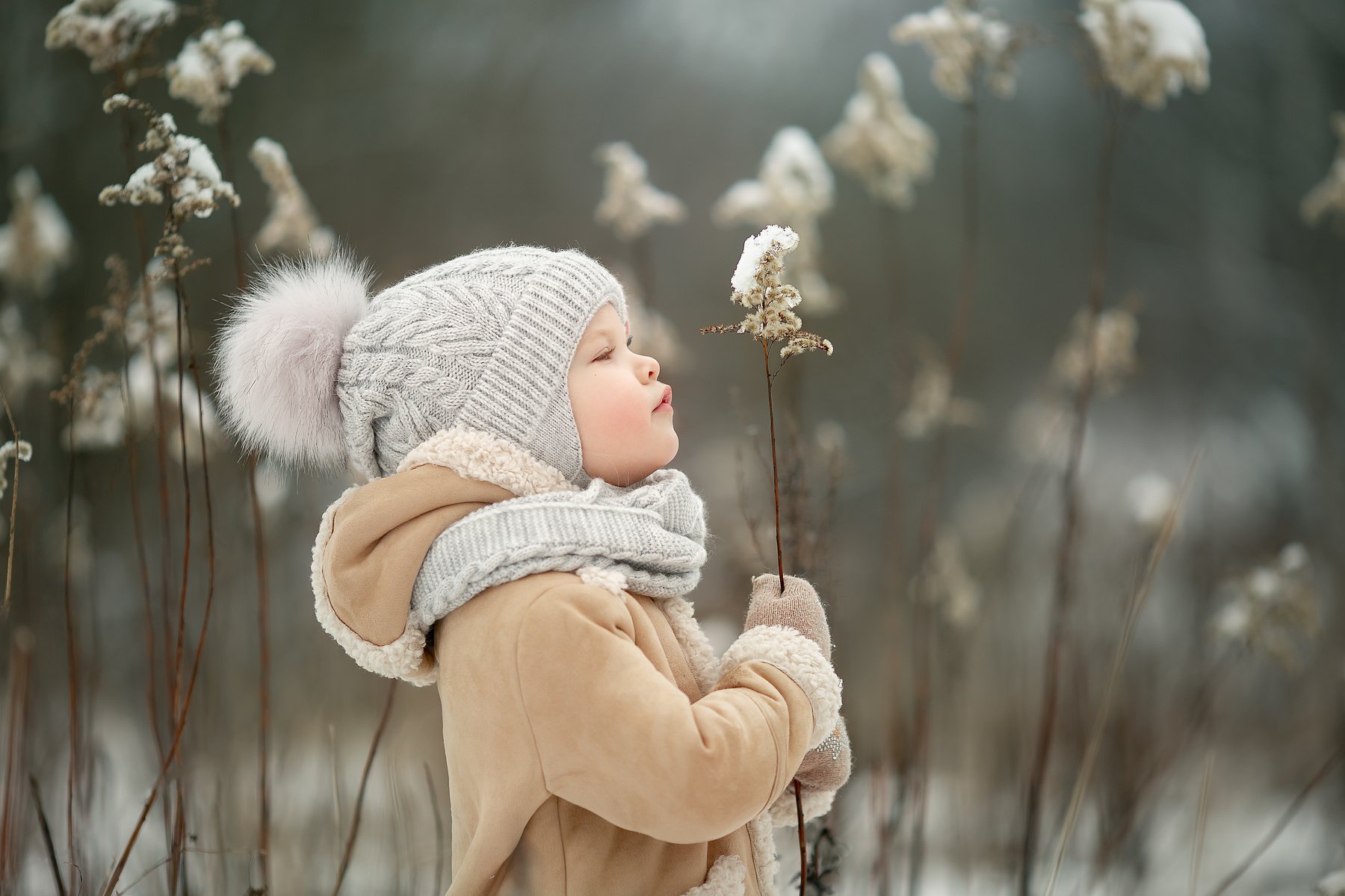снег кустик девочка ребенок зима, Екатерина Белоножкина