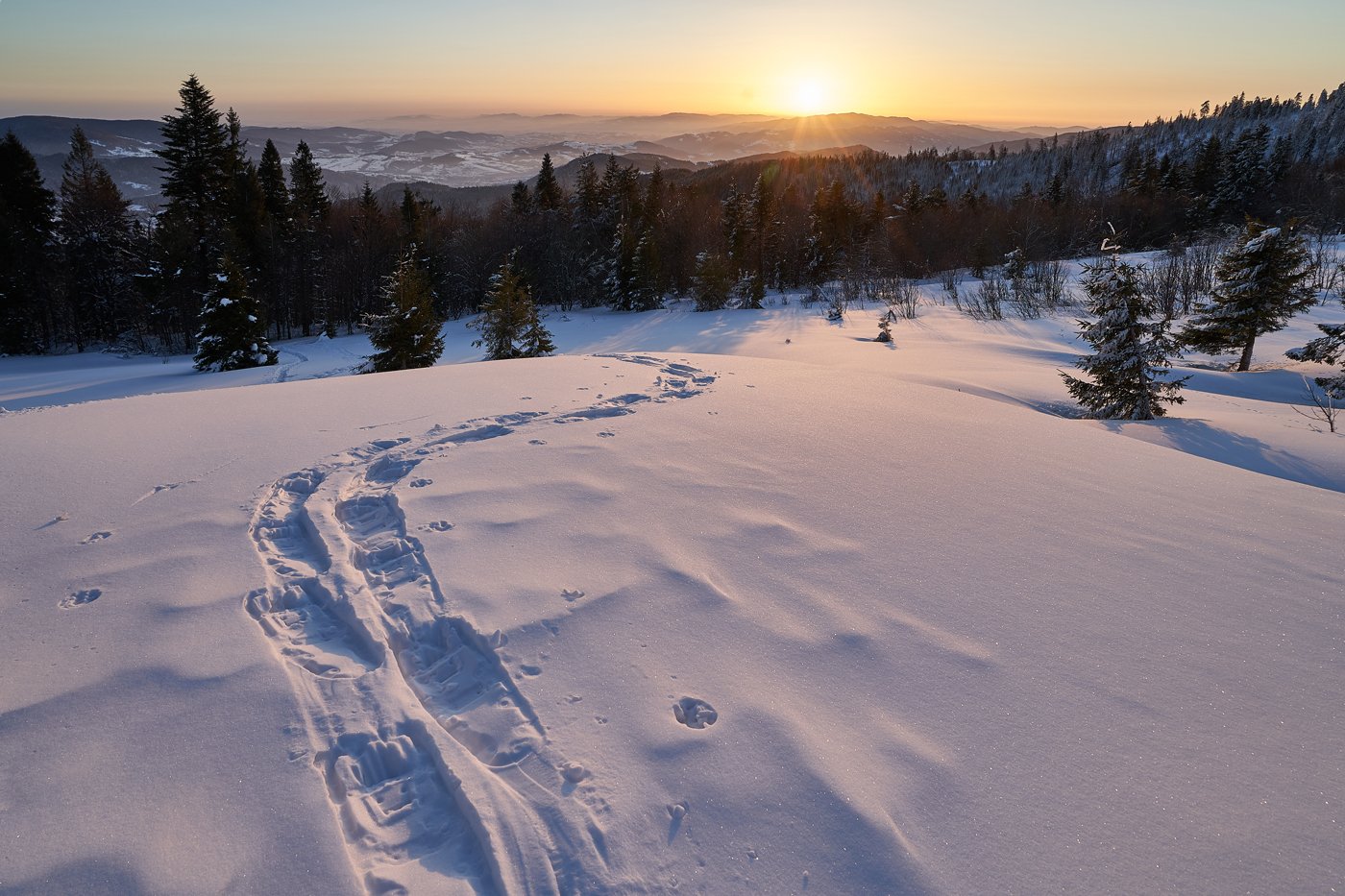 mist,mountains,hut,sunrise,tree,cold,frozen,snow,  Rafal