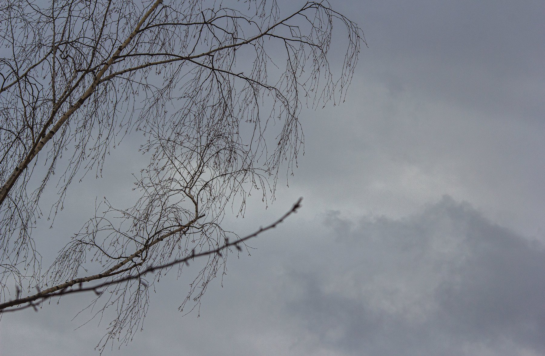 пейзаж, кулебаки, landscape, winter, зима, небо, облака, берёза, heaven, Владимир Васильев