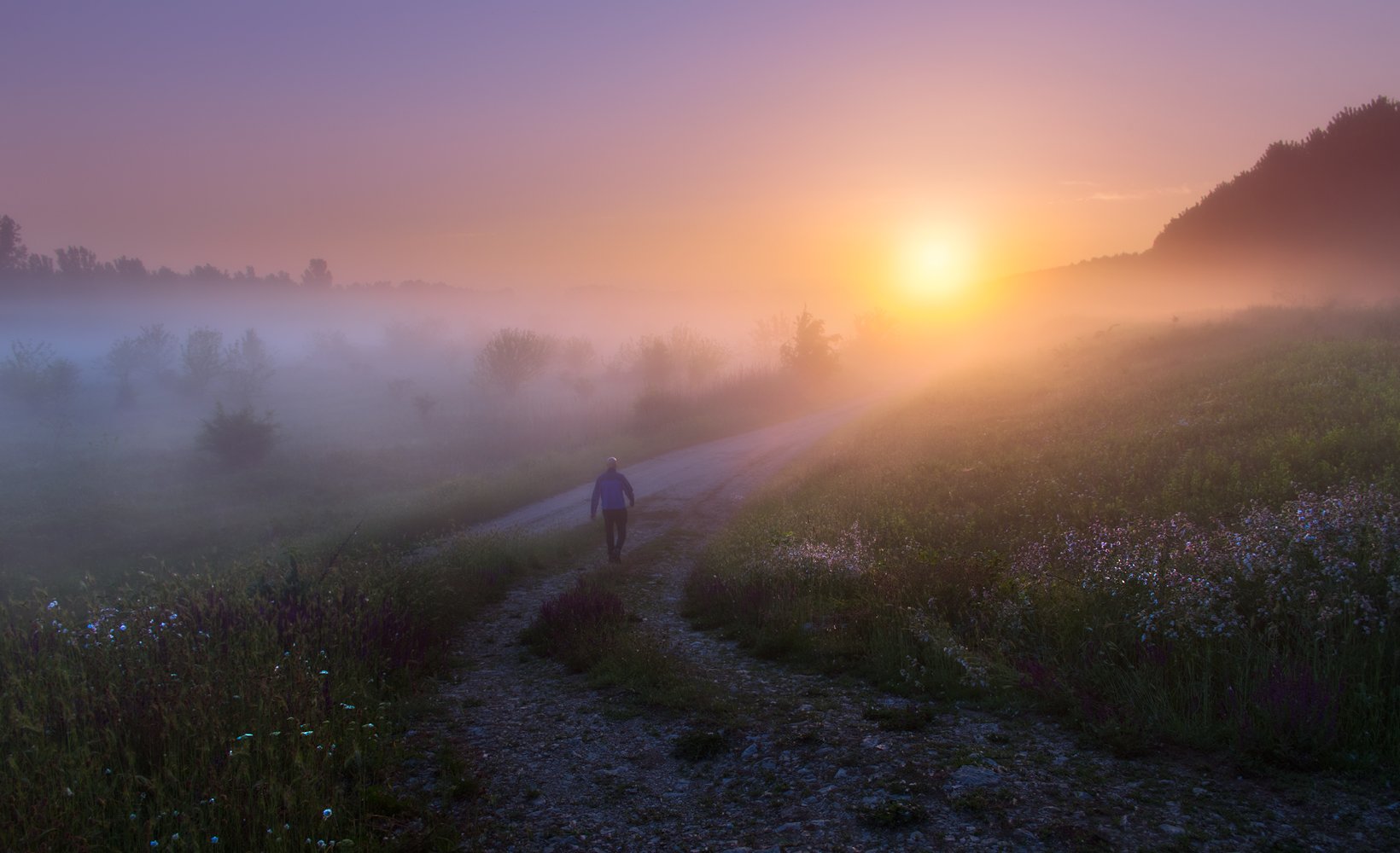 nature, landscape, spring, morning, sun, mist, fog, man, road, flowers, Lyuboslav
