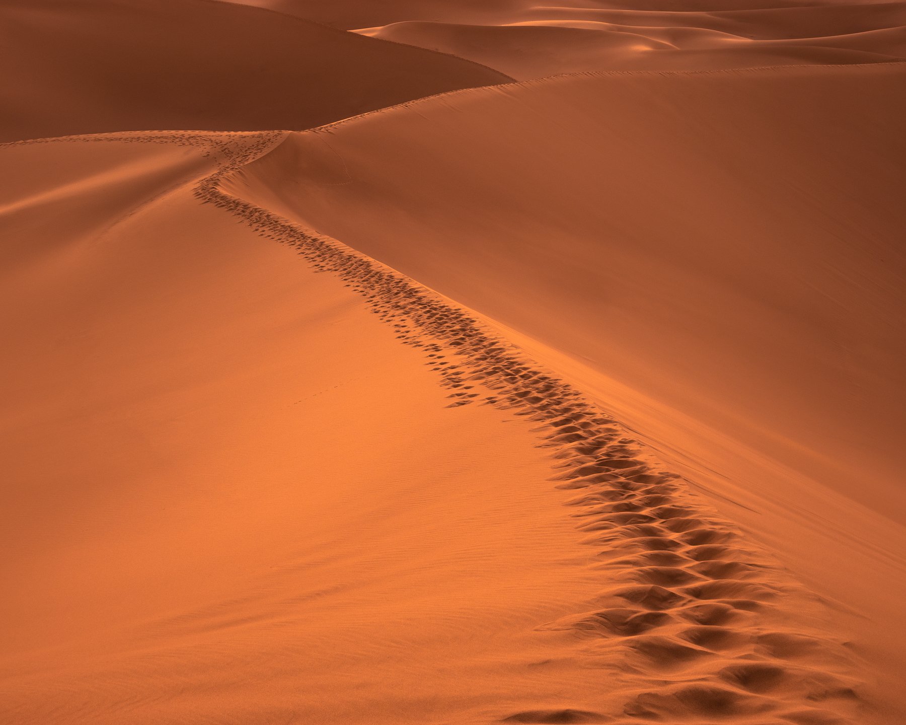 Sahara, Sand, Marks, Maroc, Prybinski Miroslaw
