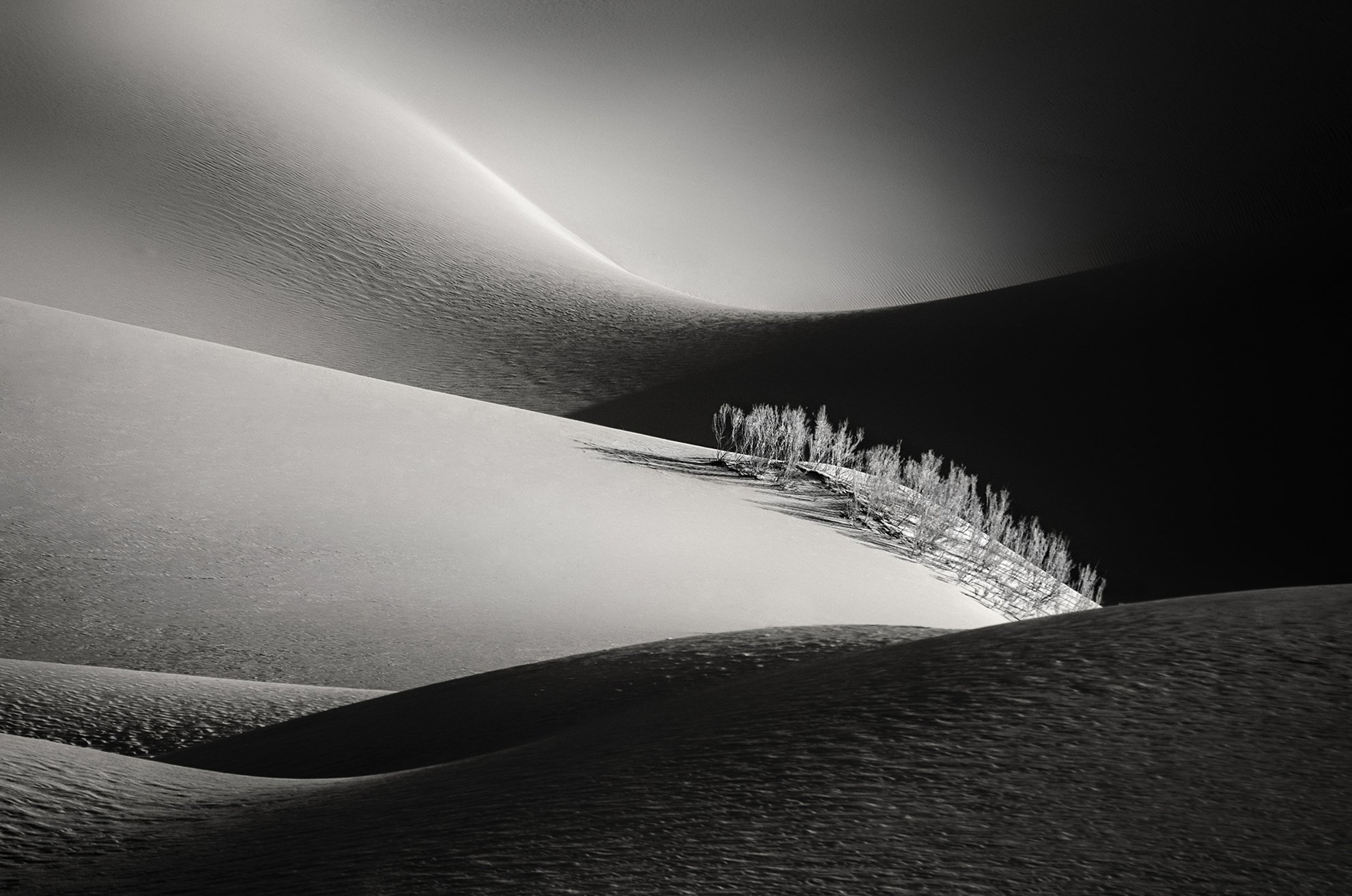desert,landscape,black and white,neture,abstraction,conceptual, Fatemeh(Banafsheh) Pishkhan