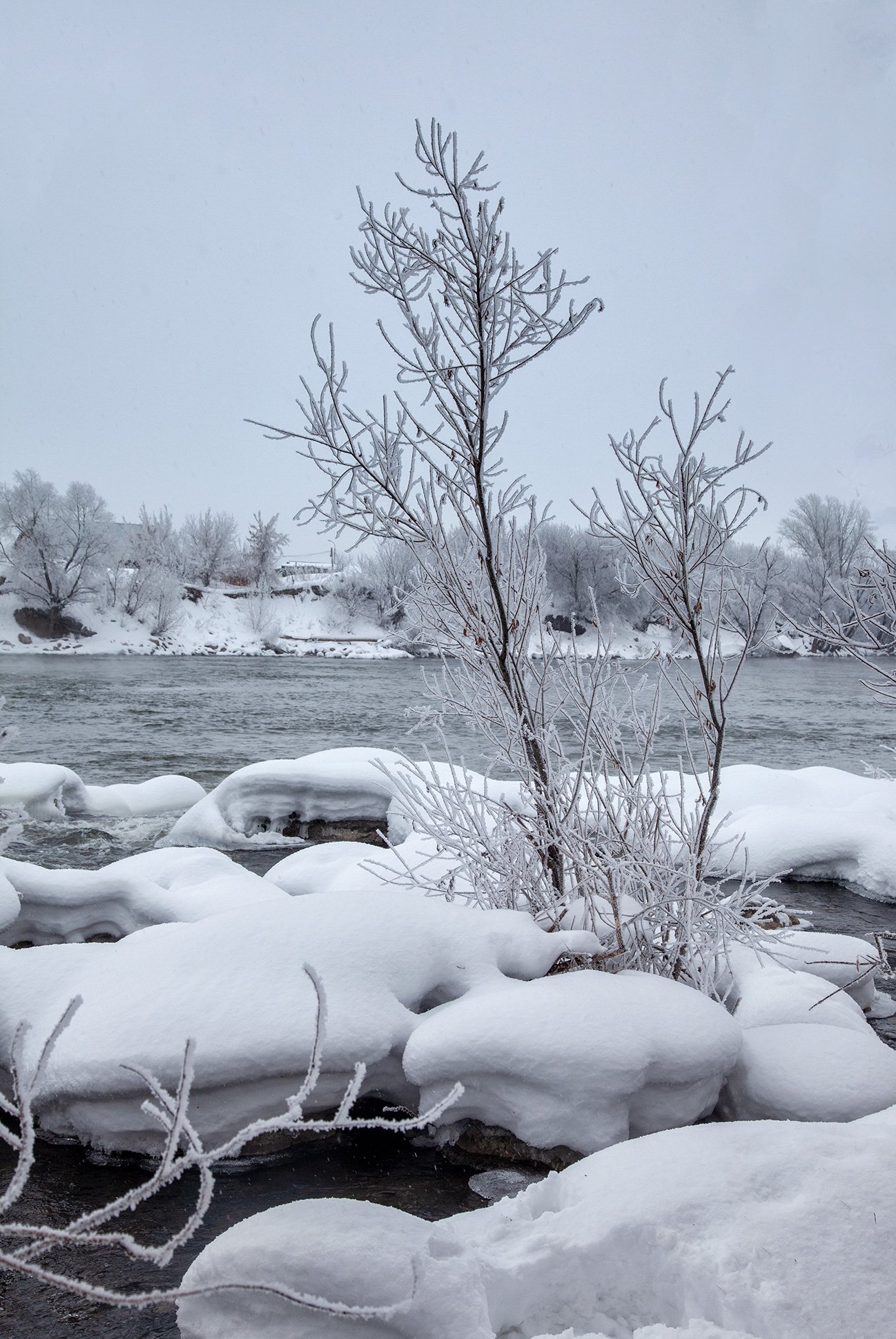 пейзаж,зима,дерево,иней снег,сугроб,река,мороз, Тамара Андреева
