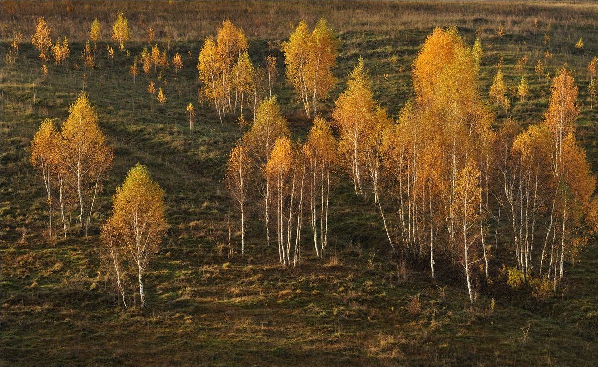 , Володимир Карчевський