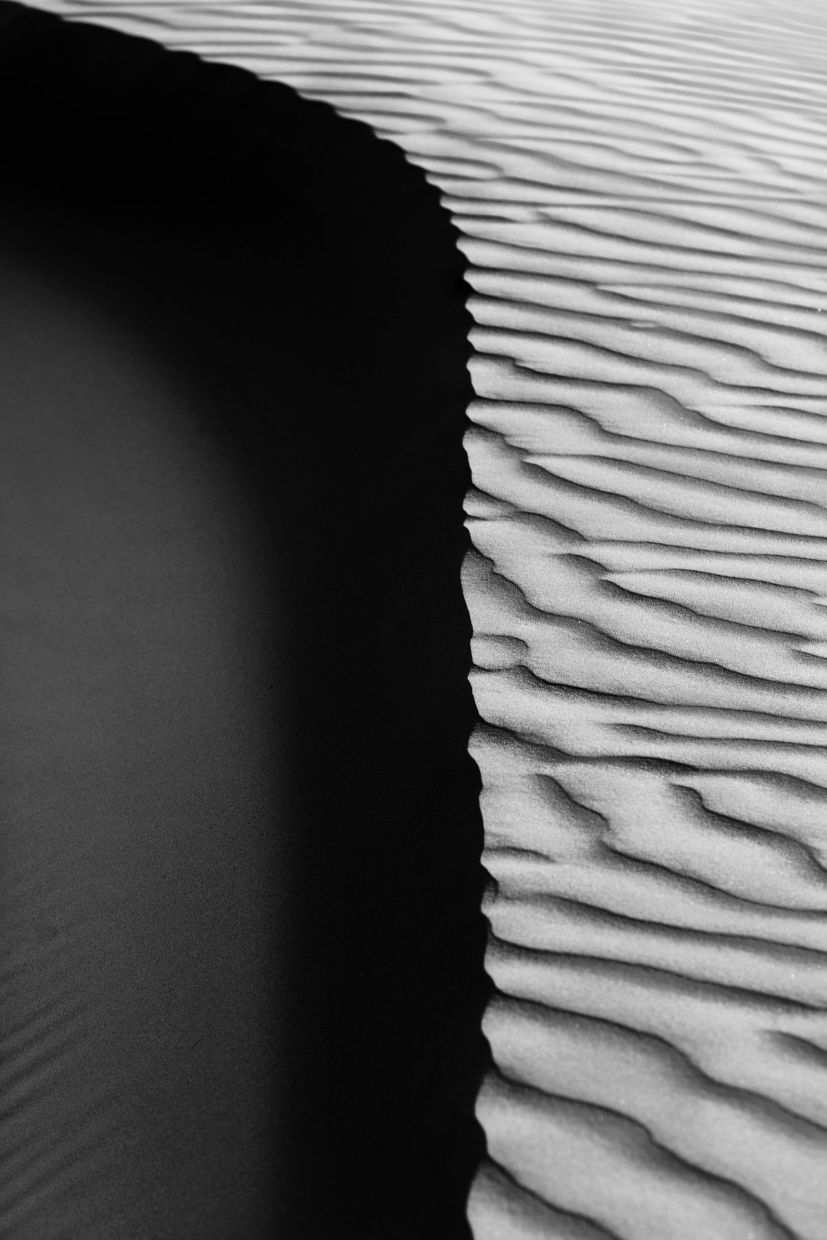 Sand,composition,black and white, hussein najem