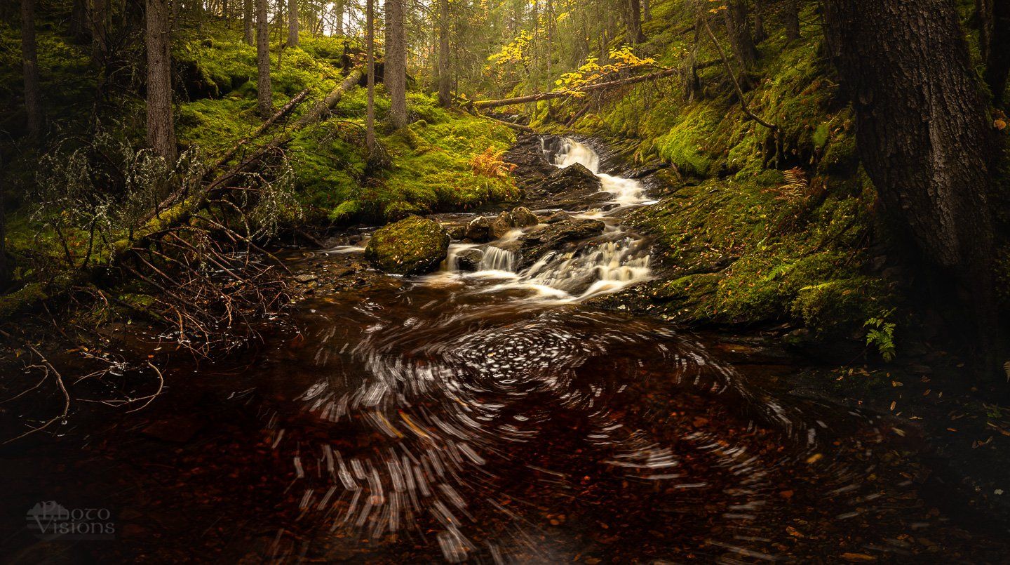 forest,green,river,stream,water,tree,trees,boreal,norway,norwegian,woods,woodland,, Adrian Szatewicz