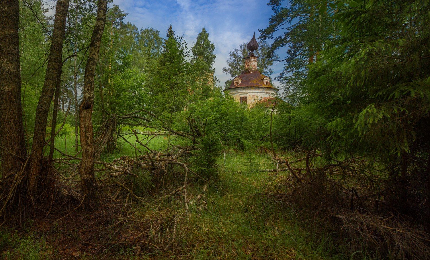 лес,церковь, Елена Рубинская