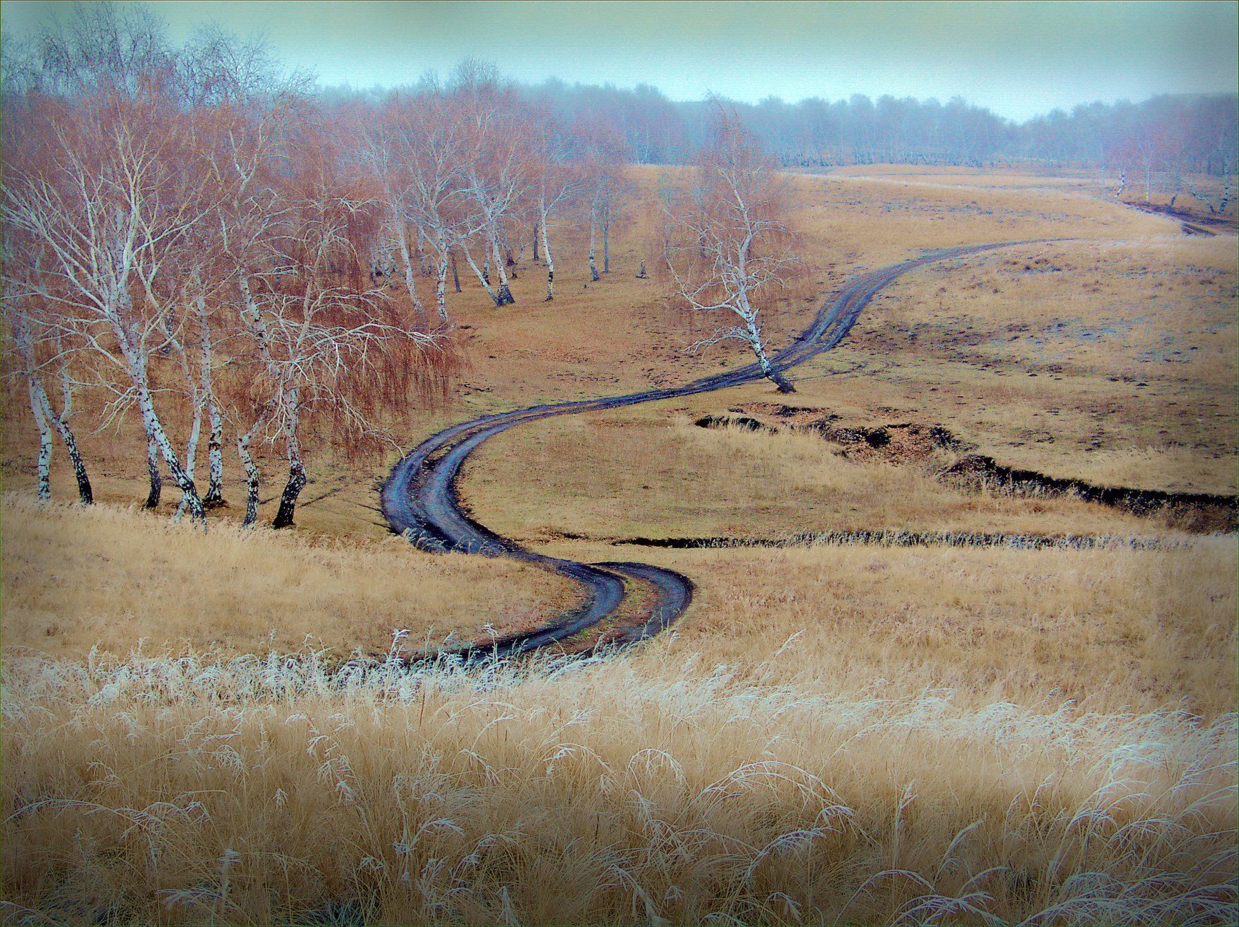 Кривая дорога. Февраль кривые дороги. Прямая и кривая дорога. Кривая дорога картинка.