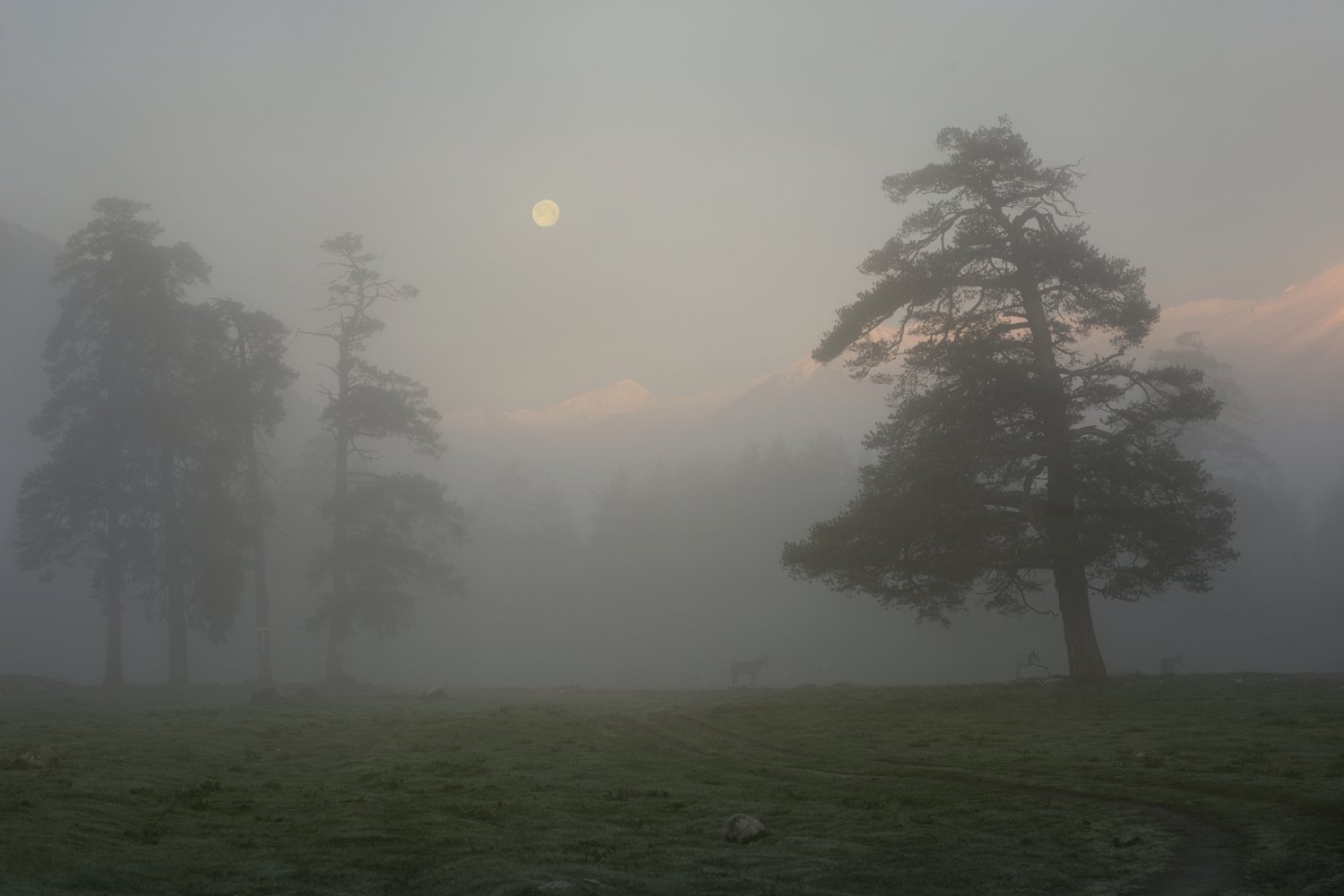 горы кавказ весна утро туман архыз, Александр Жарников