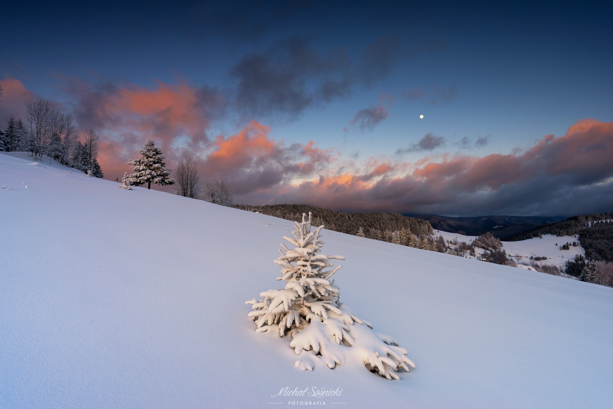 slovakia, winter, tree, snow, sunset, pentax, landscape, Michał Sośnicki