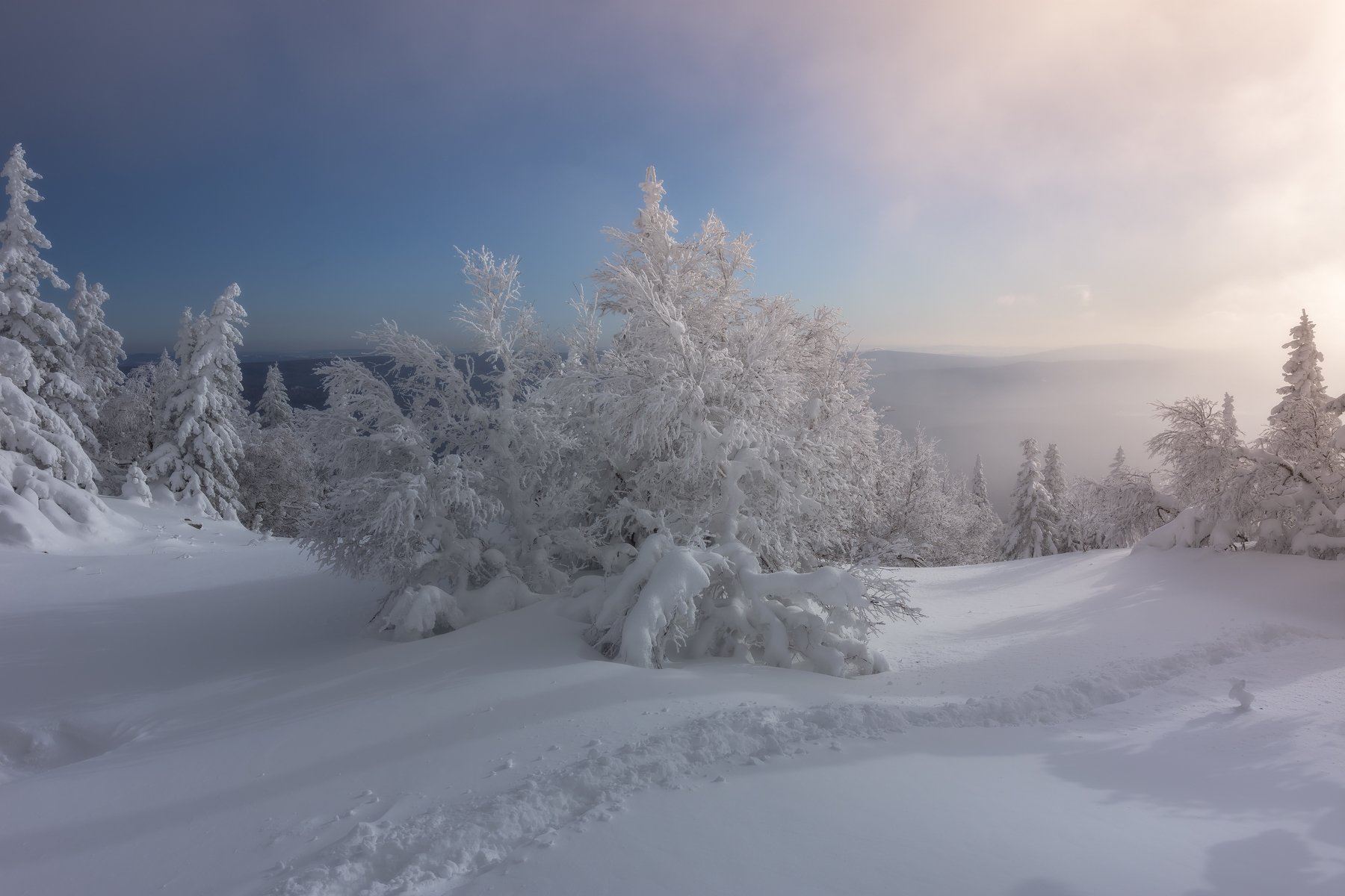 , Андрей Шарапов