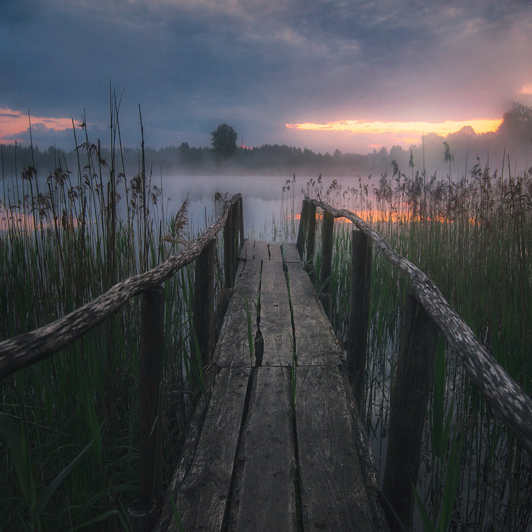 lake,sunrise,fog,mist,beautiful, Olegs Bucis