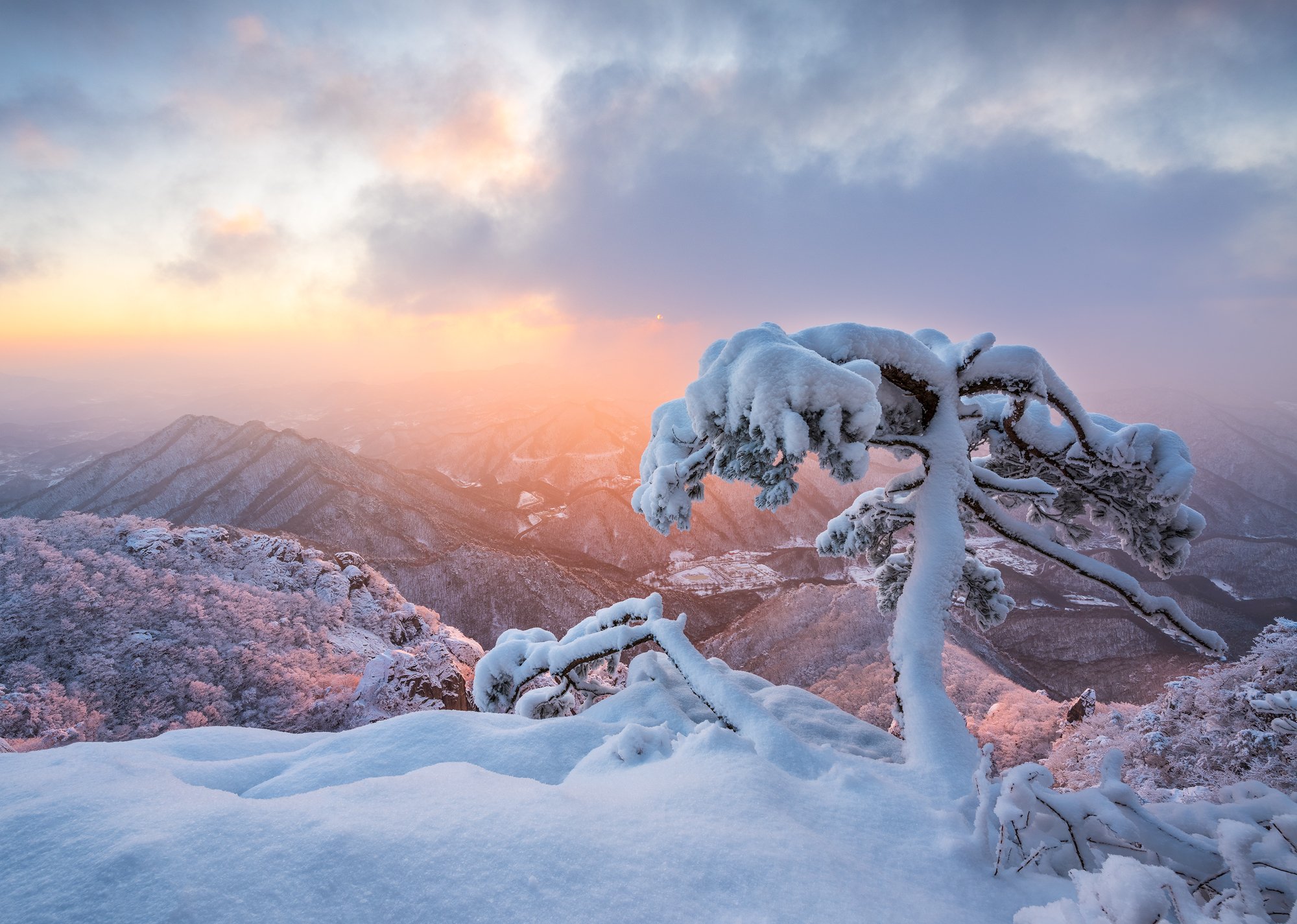 mountains,peak,hiking,winter,light,colors,colorful,snow,cold,pine,tree, Jaeyoun Ryu