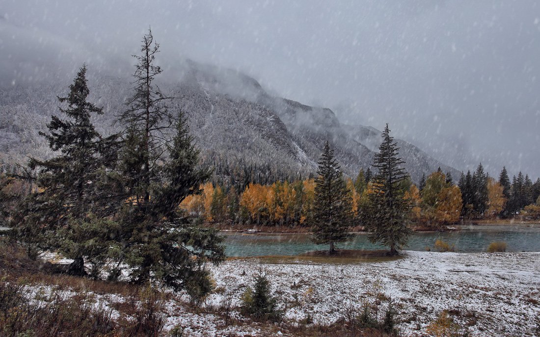 природа, пейзаж, река, чуя, осень, метель, снег, Sokolova Tatiana