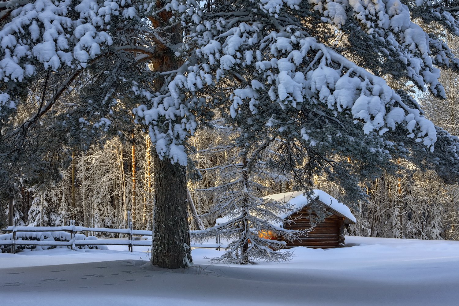 зима лес снег иней мороз солнце деревья сугробы деревня банька дрова изгородь снежные гроздья, Ра Вера