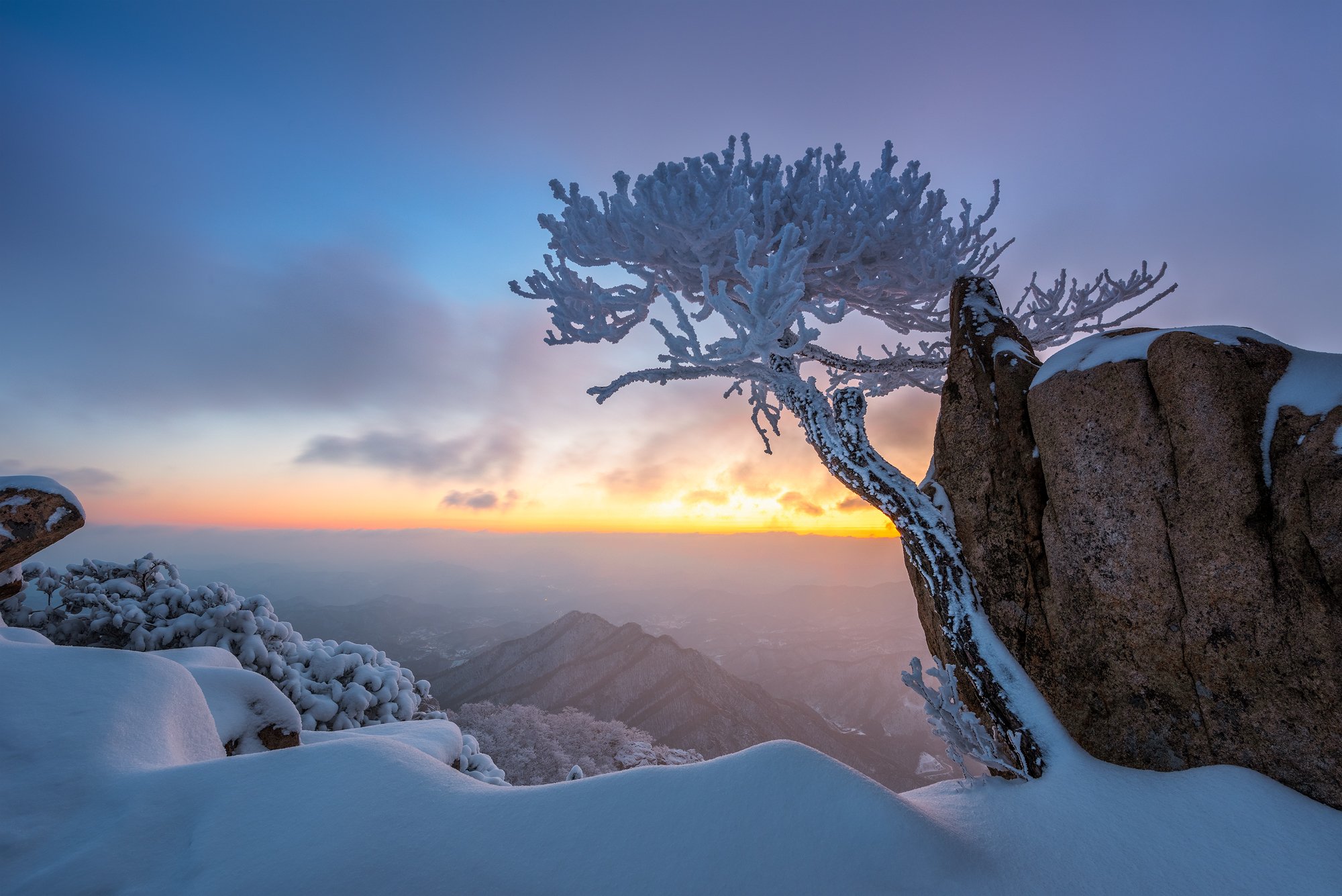 mountains,peak,hiking,winter,light,,snow,cold,pine,tree,alone, Jaeyoun Ryu