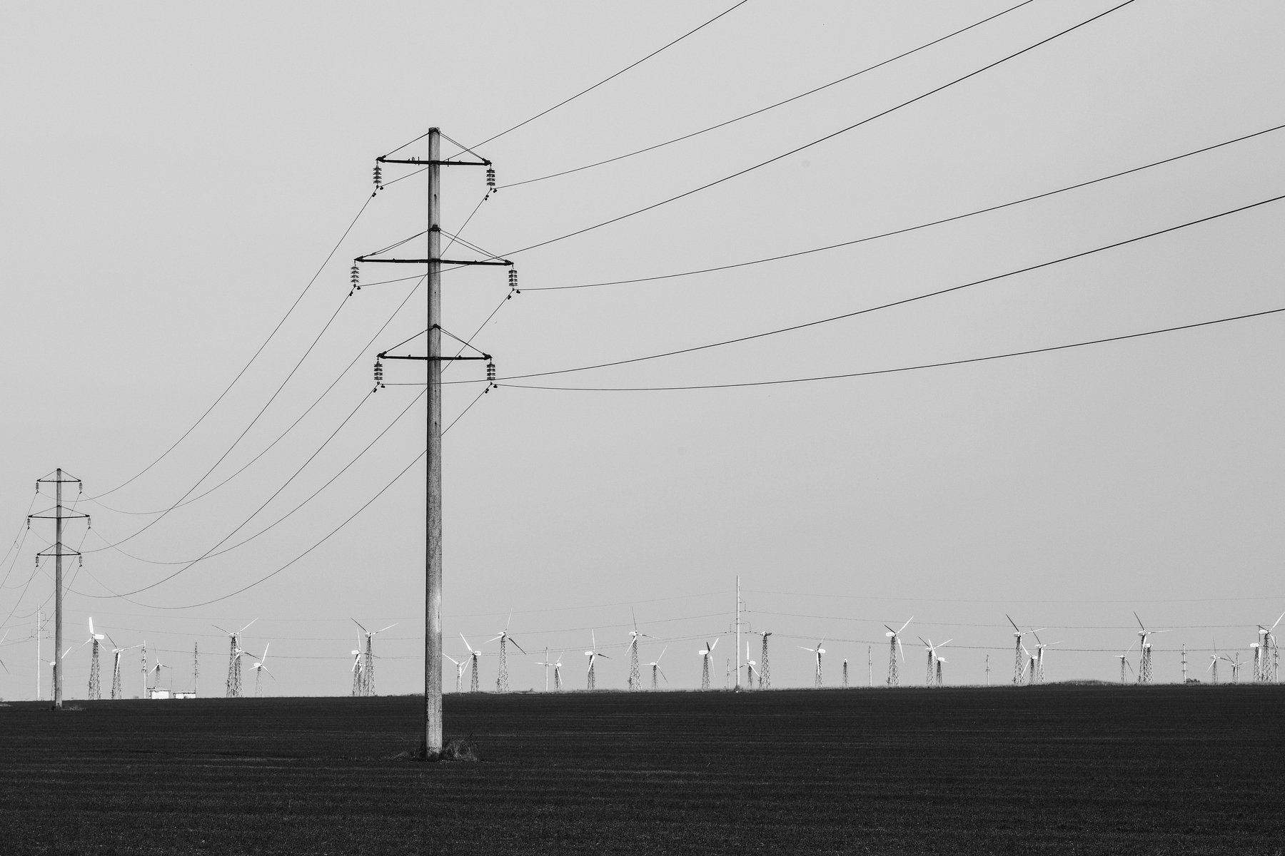 провода, поле, безмятежность, ветряки, чёрнобелое, wires, field, serenity, windmills, black and white, Артём Корнев