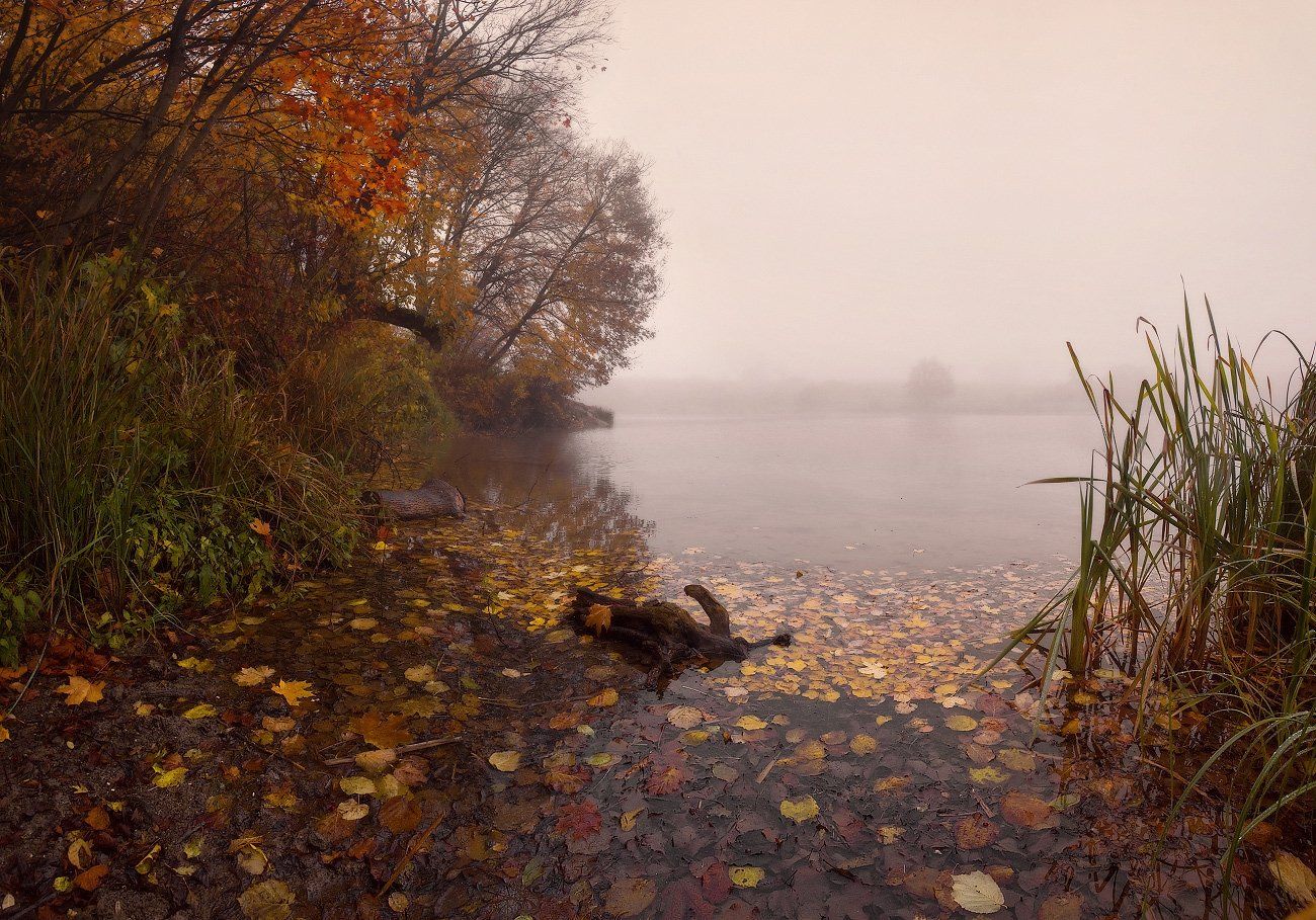 осень, утро, река, берег, туман, листья, лед, Владимир