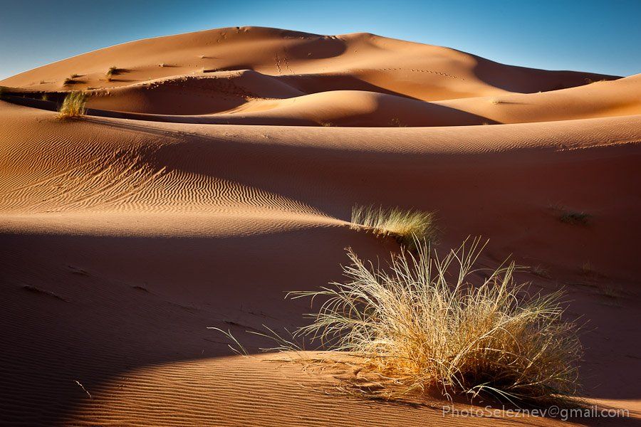 travel, desert, morocco, dune, sand, o_S