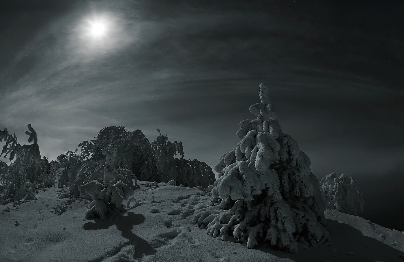 Борис Полозков Сургут фотограф