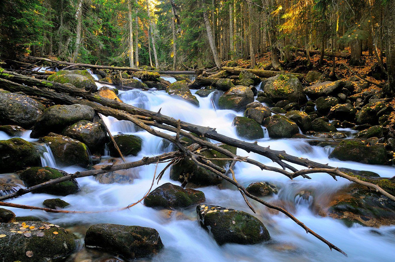 река, лес, осень, камни, деревья, Serj Master