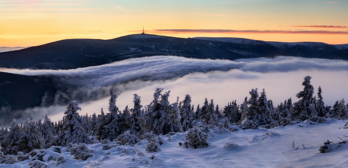 landscape, tree, sunrise, panorama, fog, Petr Fiala