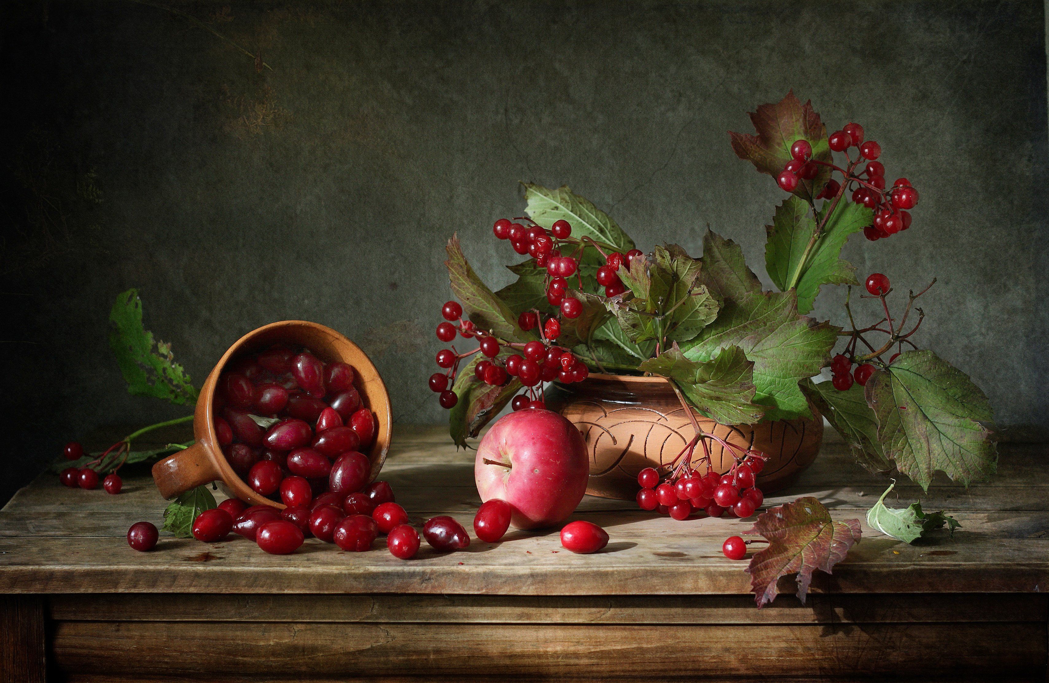 натюрморт, фрукты, яблоко, ягоды, калина, кизил, осень, Галина Рябикова-Багузова