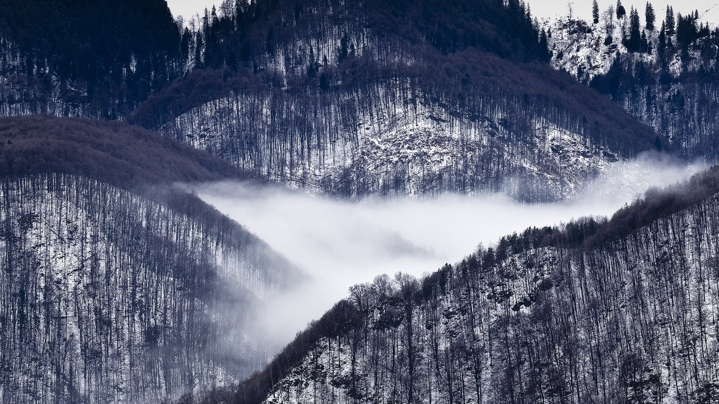 dream,landscape,alexandrucrisan,nature,scenery,countryside,far,away,romania,dreamland,magic,sound,lonely,mountain,myromania,forest,trees,winds,hill,tree,white,poem,haiku,minimalism,minimal,winterscape,cold,freeze,breeze,16,panoramic,wintertale,for,mist, Alexandru Crisan